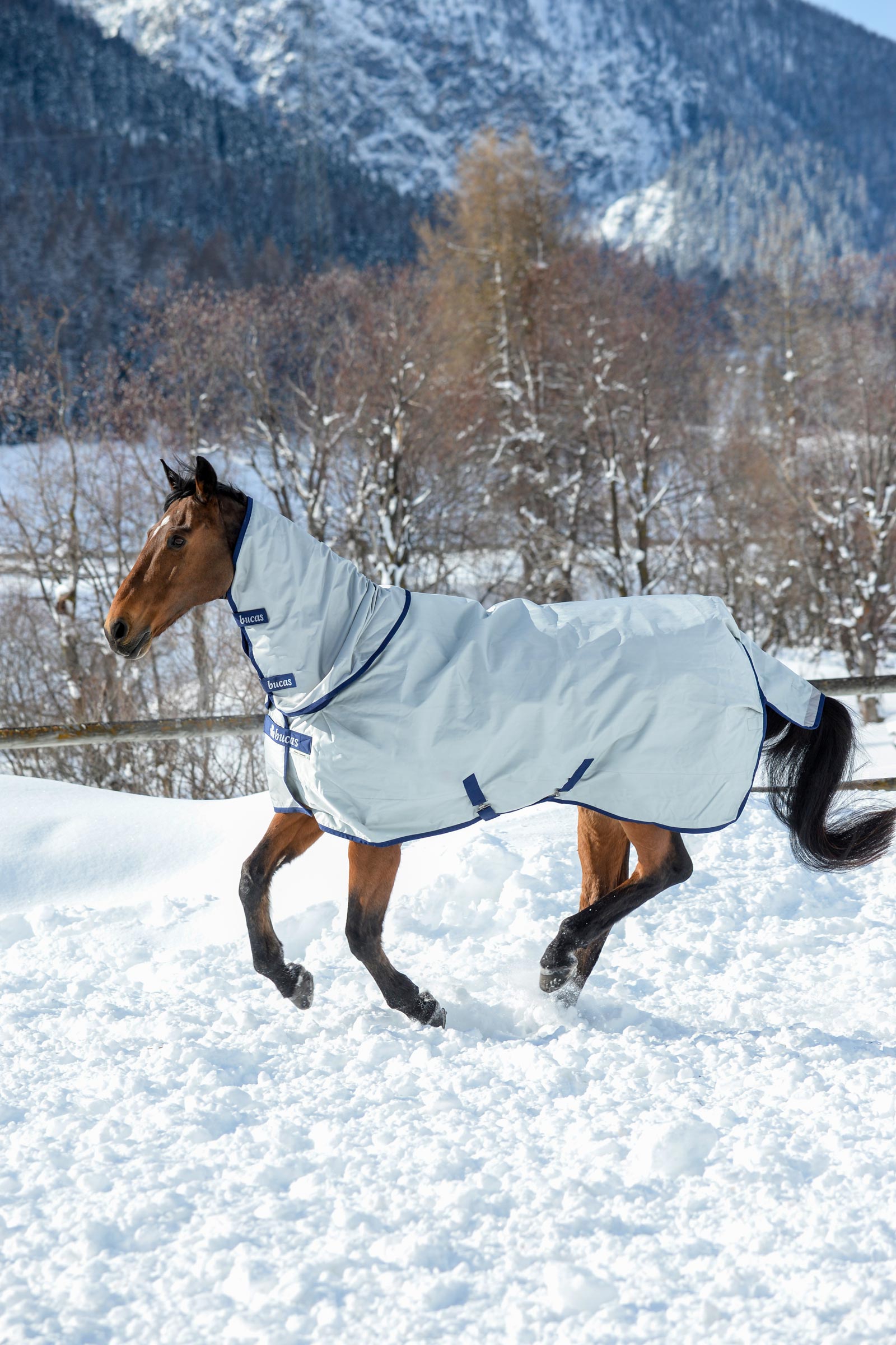 Bucas Power halst&auml;cke f&ouml;r utet&auml;cke, 300g