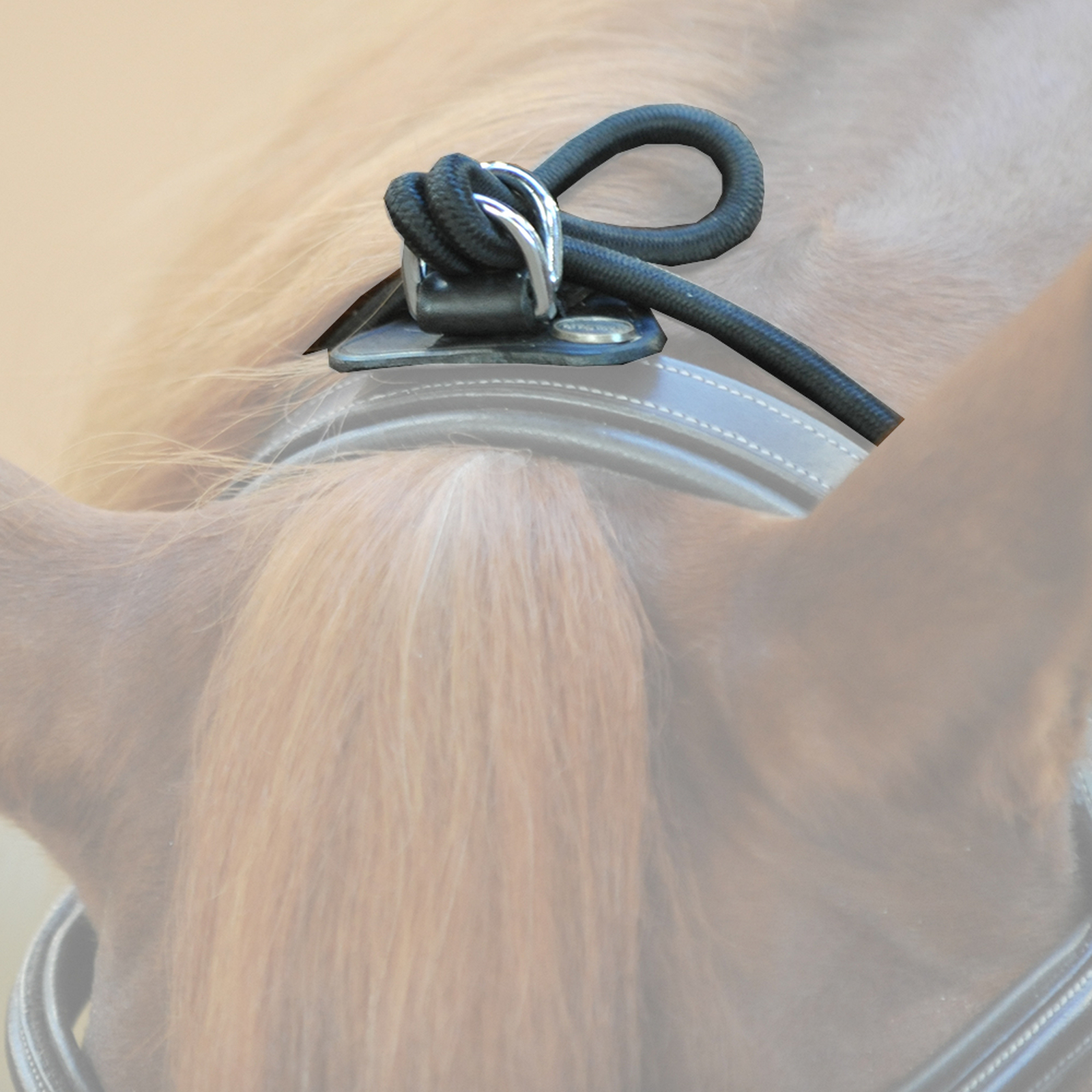 Kavalkade halsf&ouml;rl&auml;ngare, t&ouml;jbar