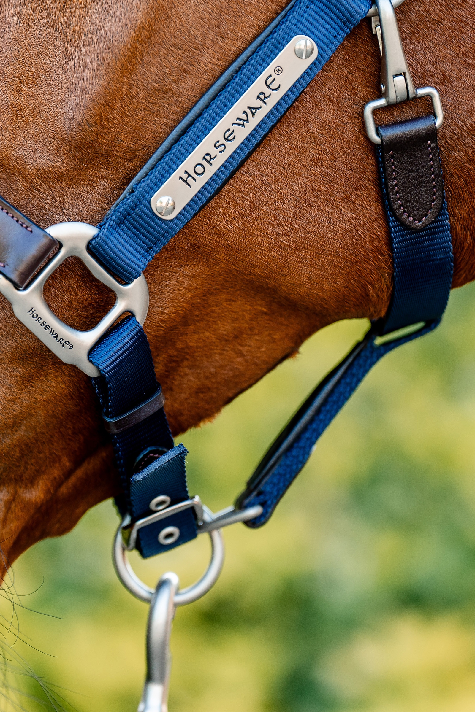 Horseware Signature Show Halter