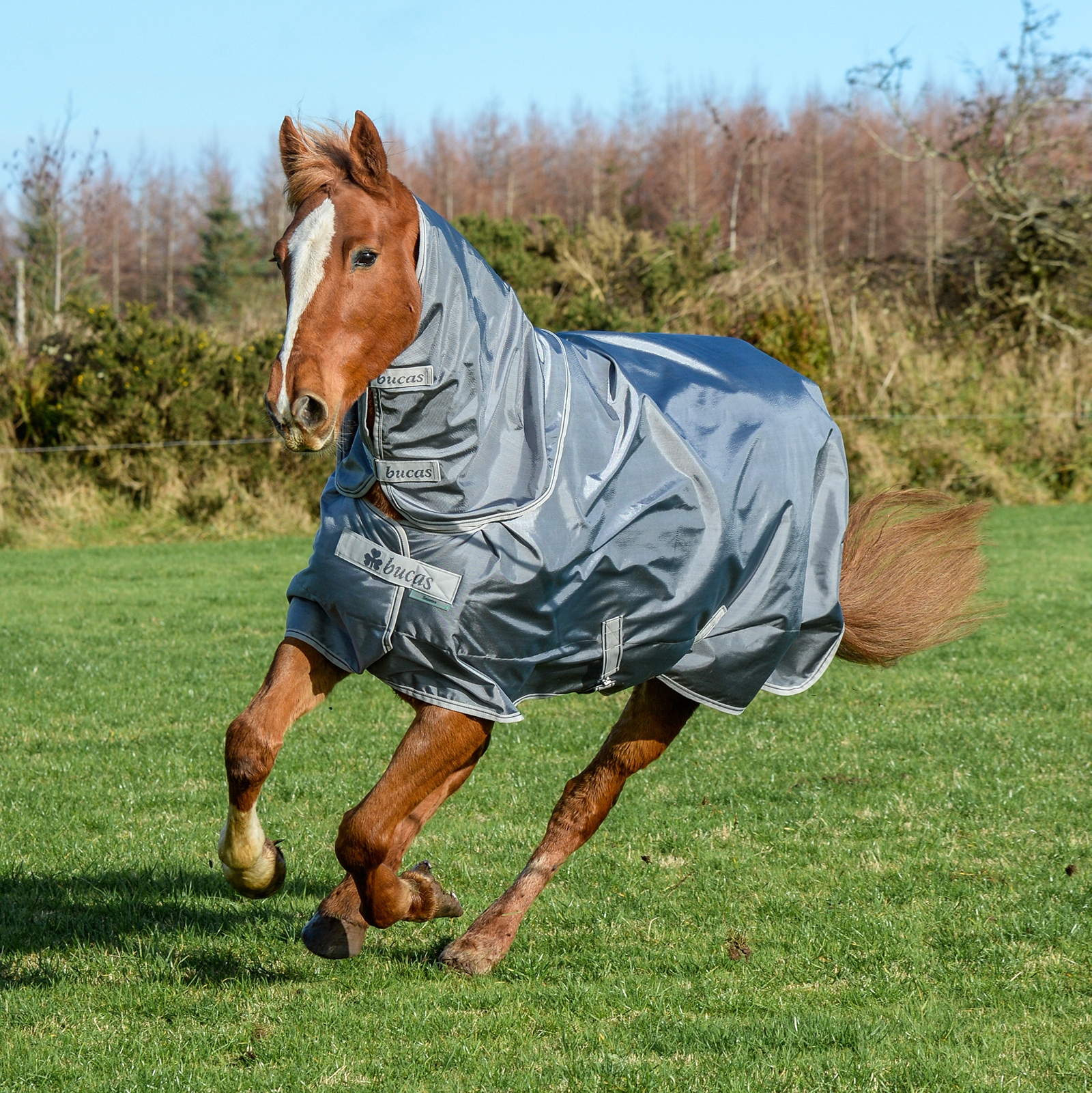 Iron Grey Bucas Smartex Combi Neck halst&auml;cke 300