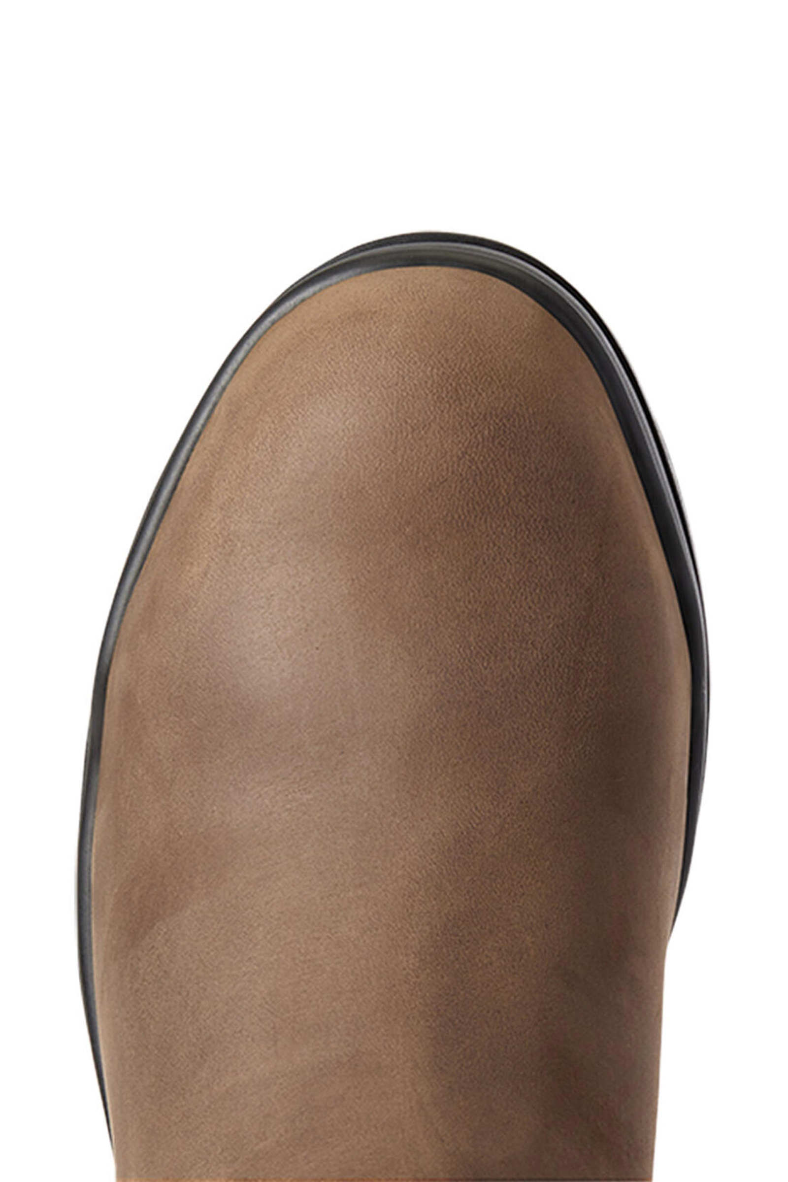 Ariat Keswick dam Jodhpur-st&ouml;vlar med st&aring;lh&auml;tta