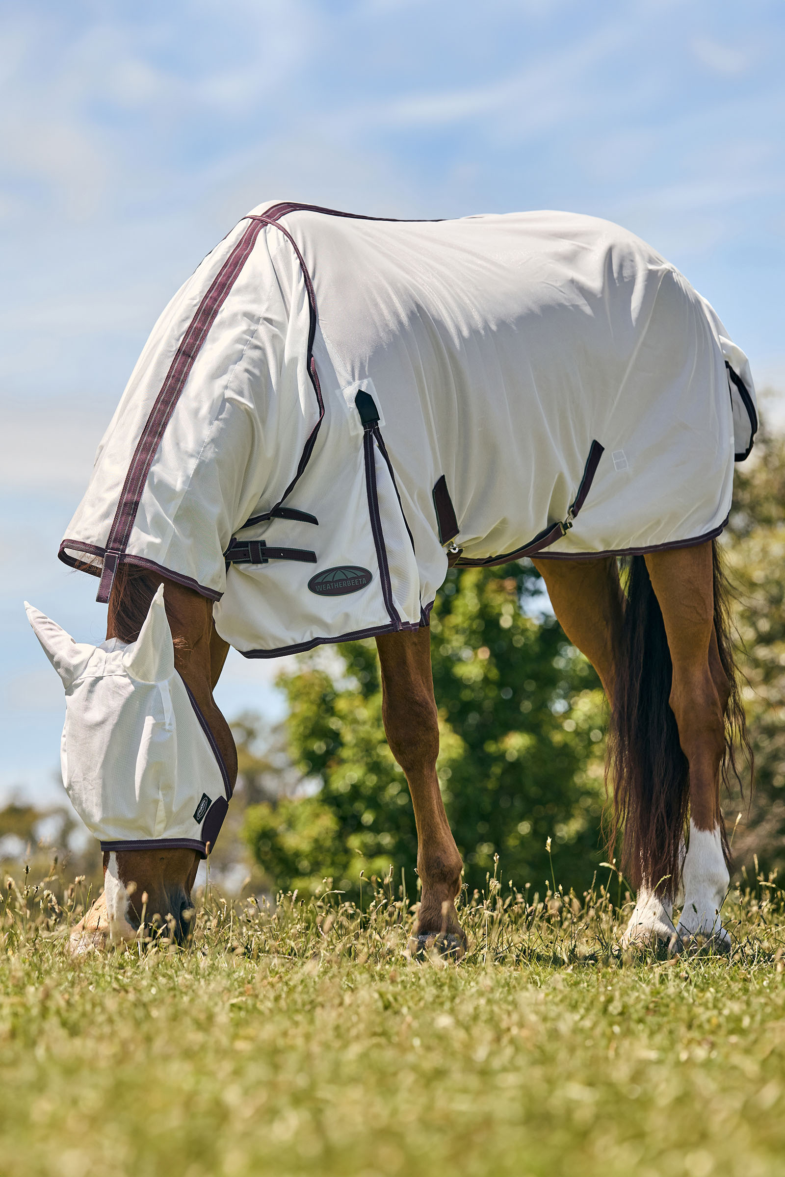 Weatherbeeta Comfitec Essential meshn&auml;tmask