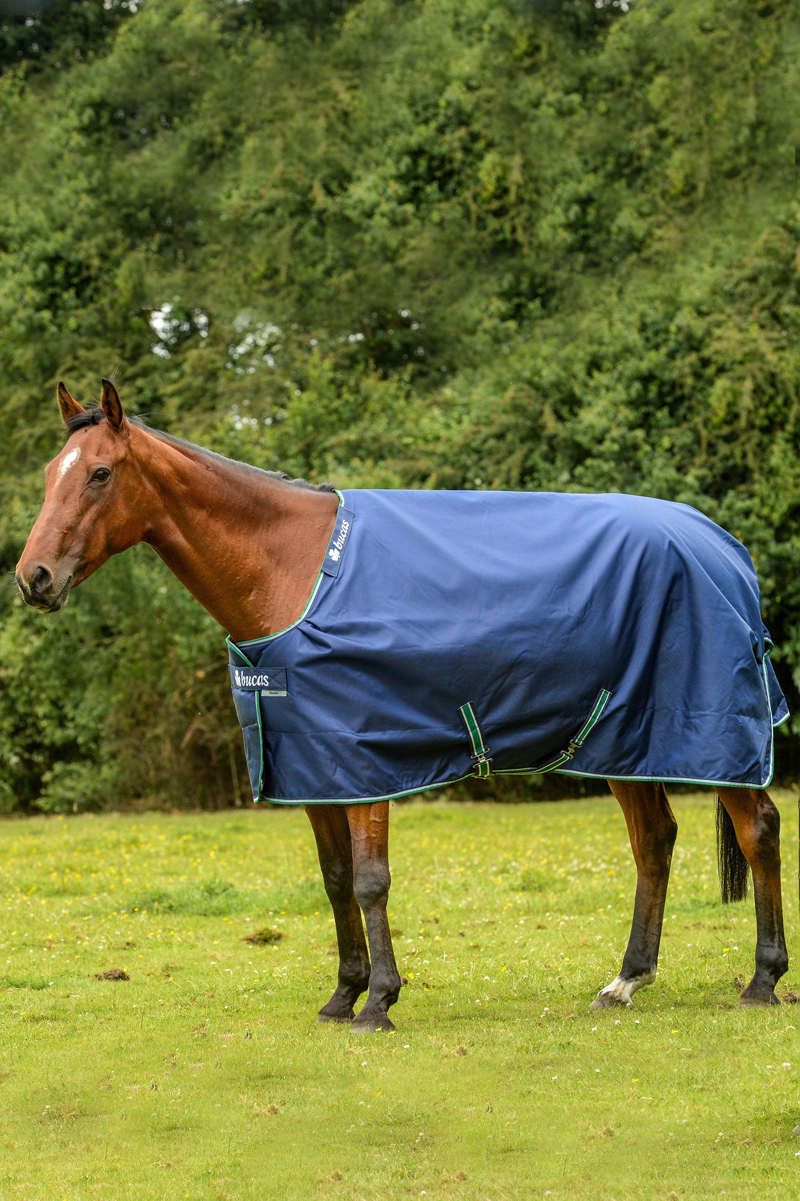 Bucas Smartex Extra Rug 300 g