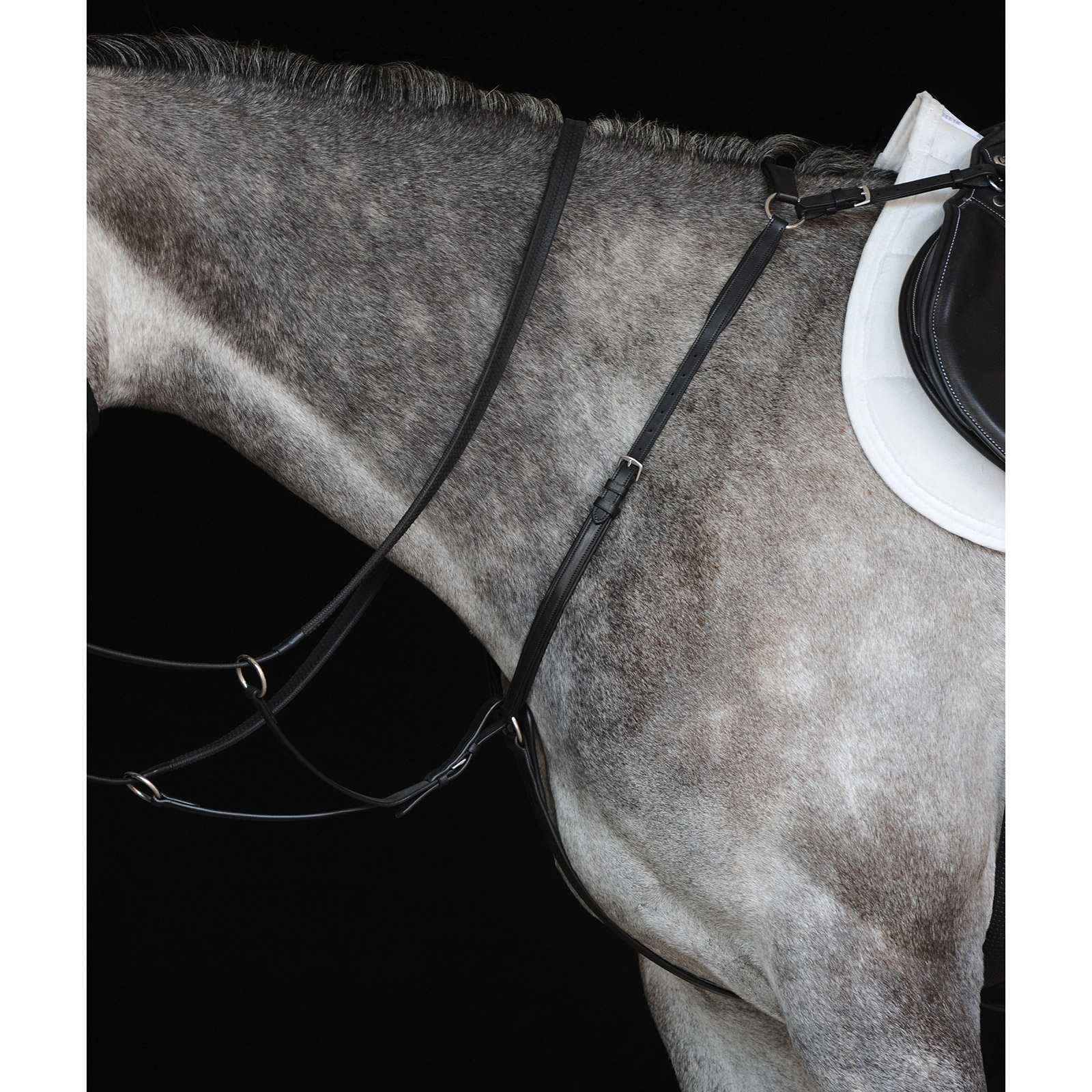 Collegiate Hunter förbygel IV