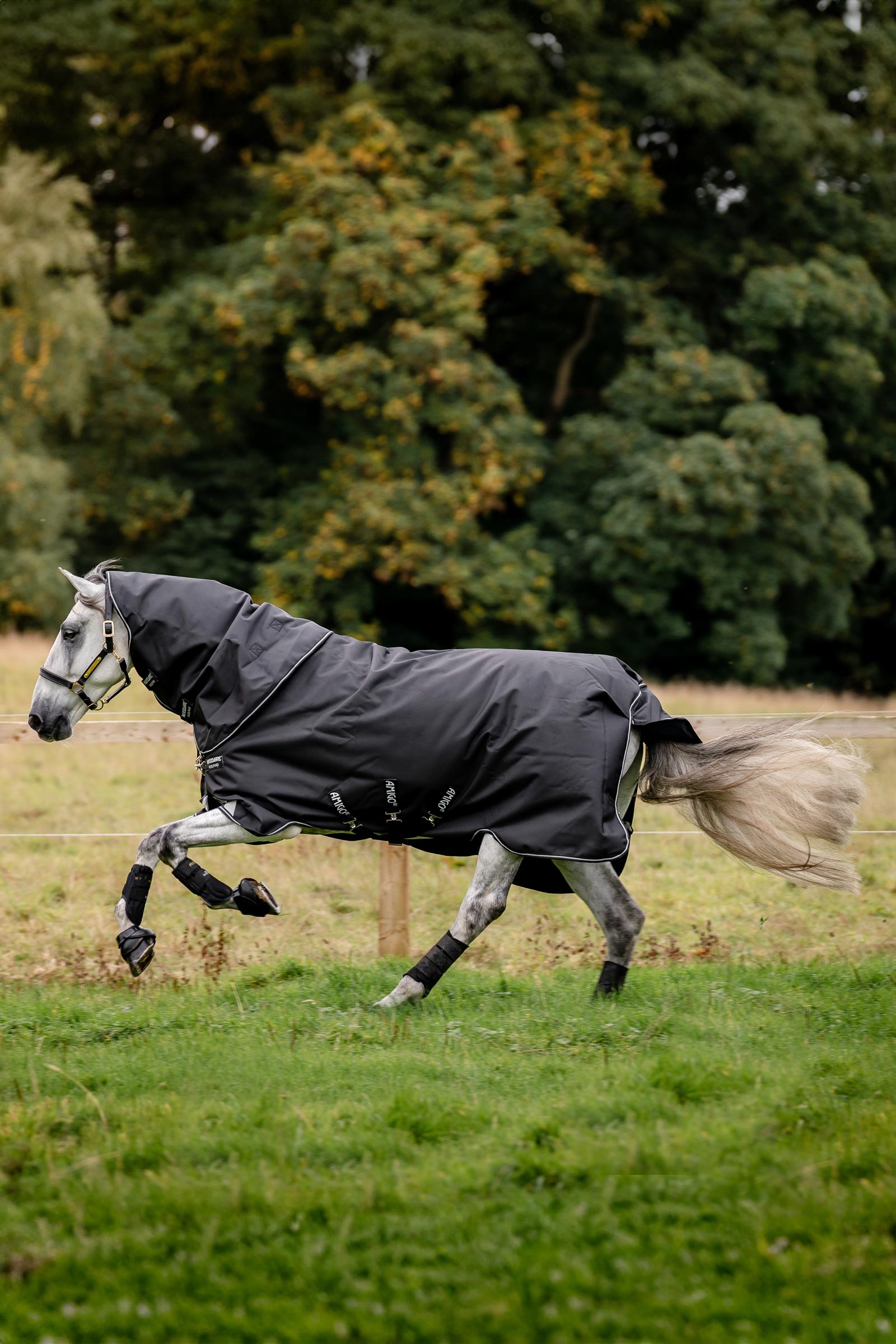 Horseware Amigo Super Bravo Plus utetäcke med avtagbart halstäcke, 250 g