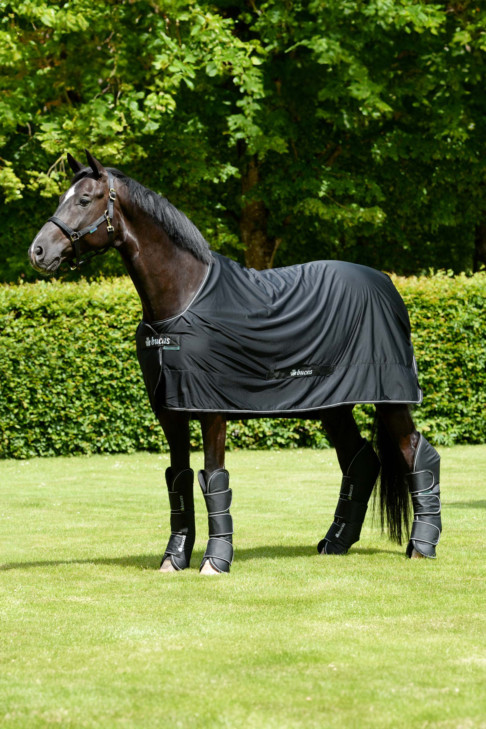 Bucas Freedom transportskydd