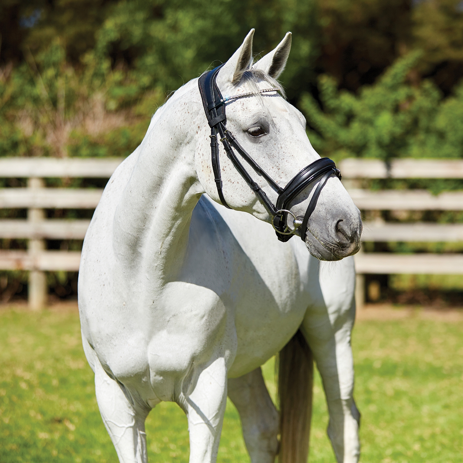 Weatherbeeta Therapy-tec anatomiskt nackskydd