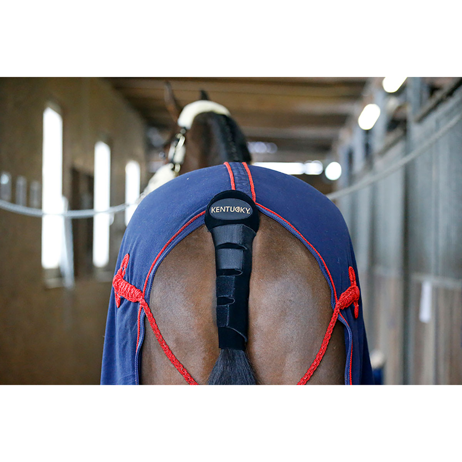 Kentucky Horsewear Svansskydd