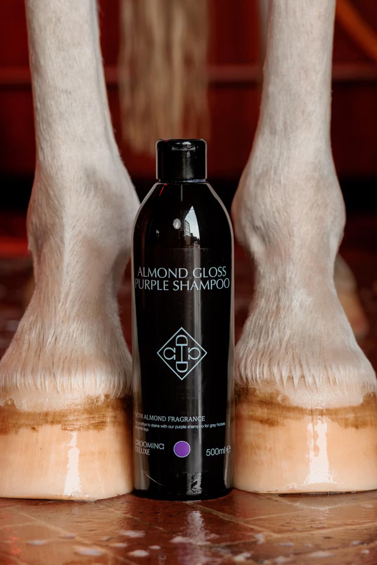 Grooming Deluxe Mandel gloss lila schampo, 500 ml