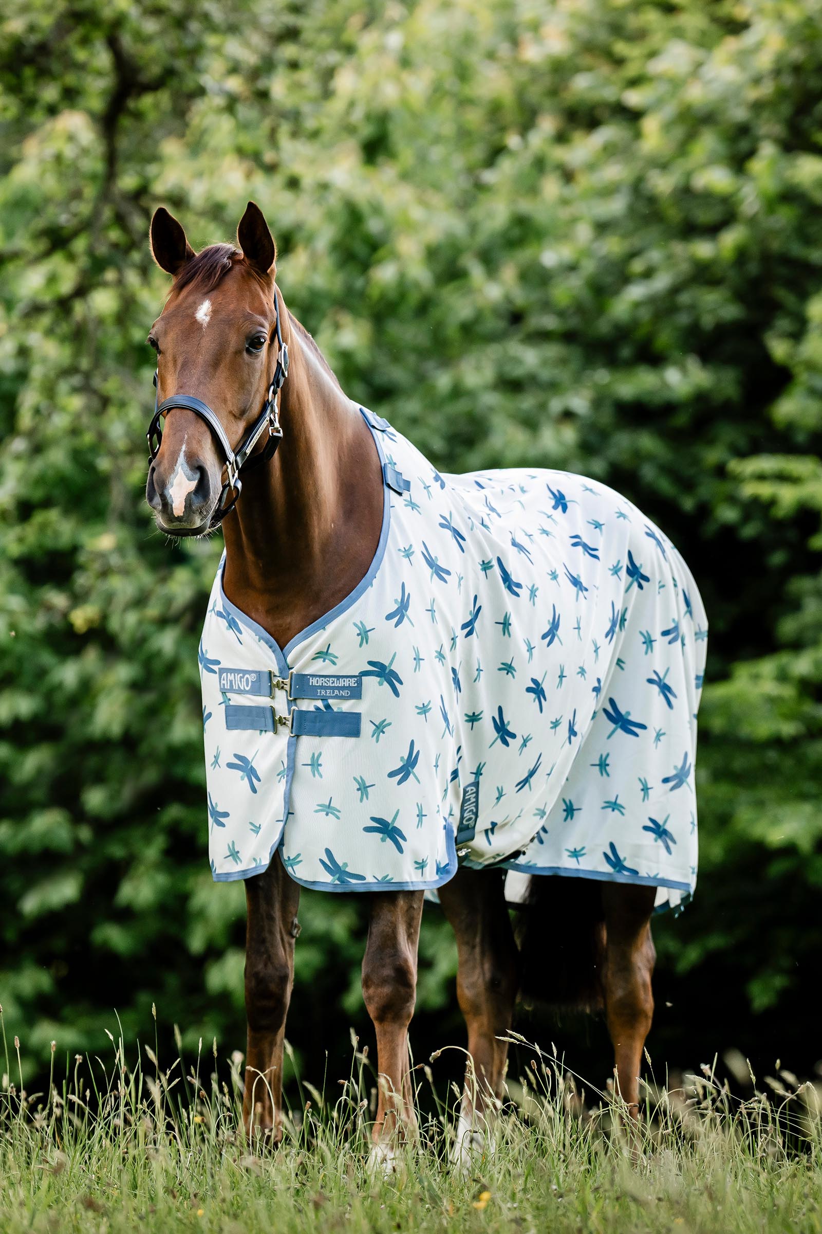 Dragonfly Print/Silver, Blue & Sage Horseware Amigo flugt&auml;cke med UV-skydd