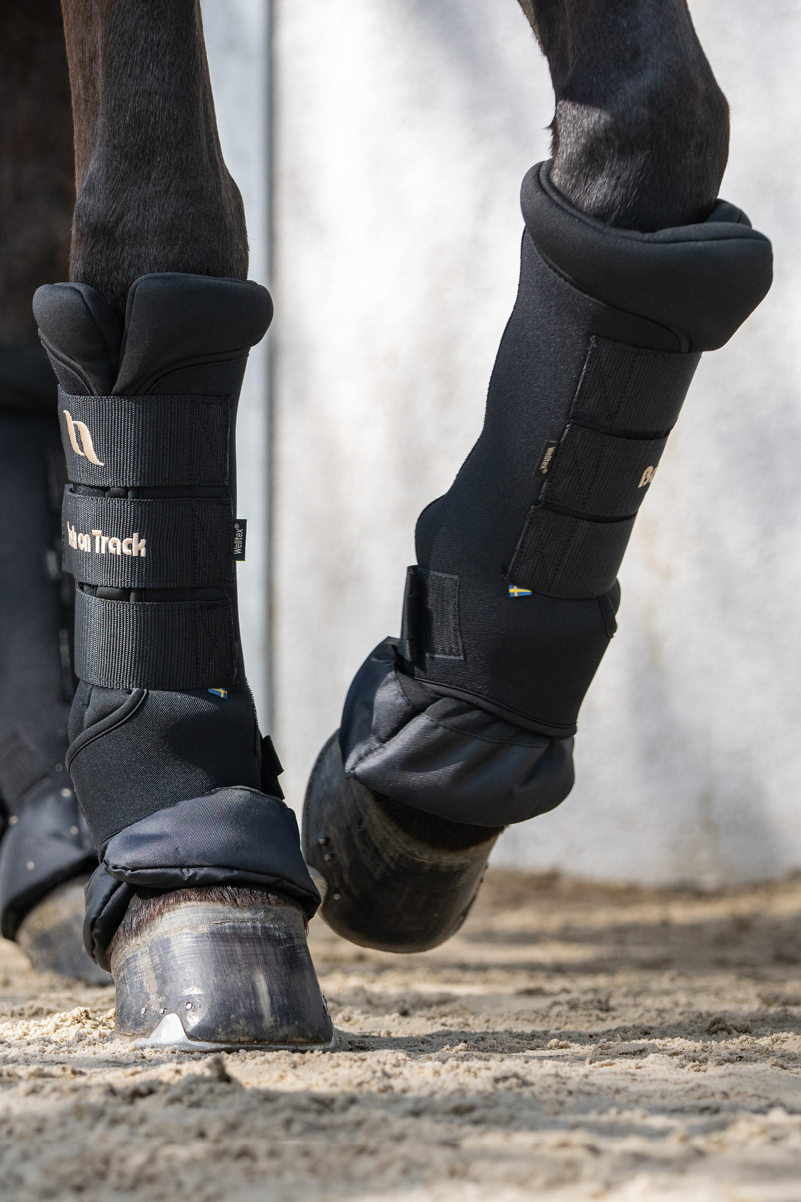 Back On Track Quick Royal snabbandage