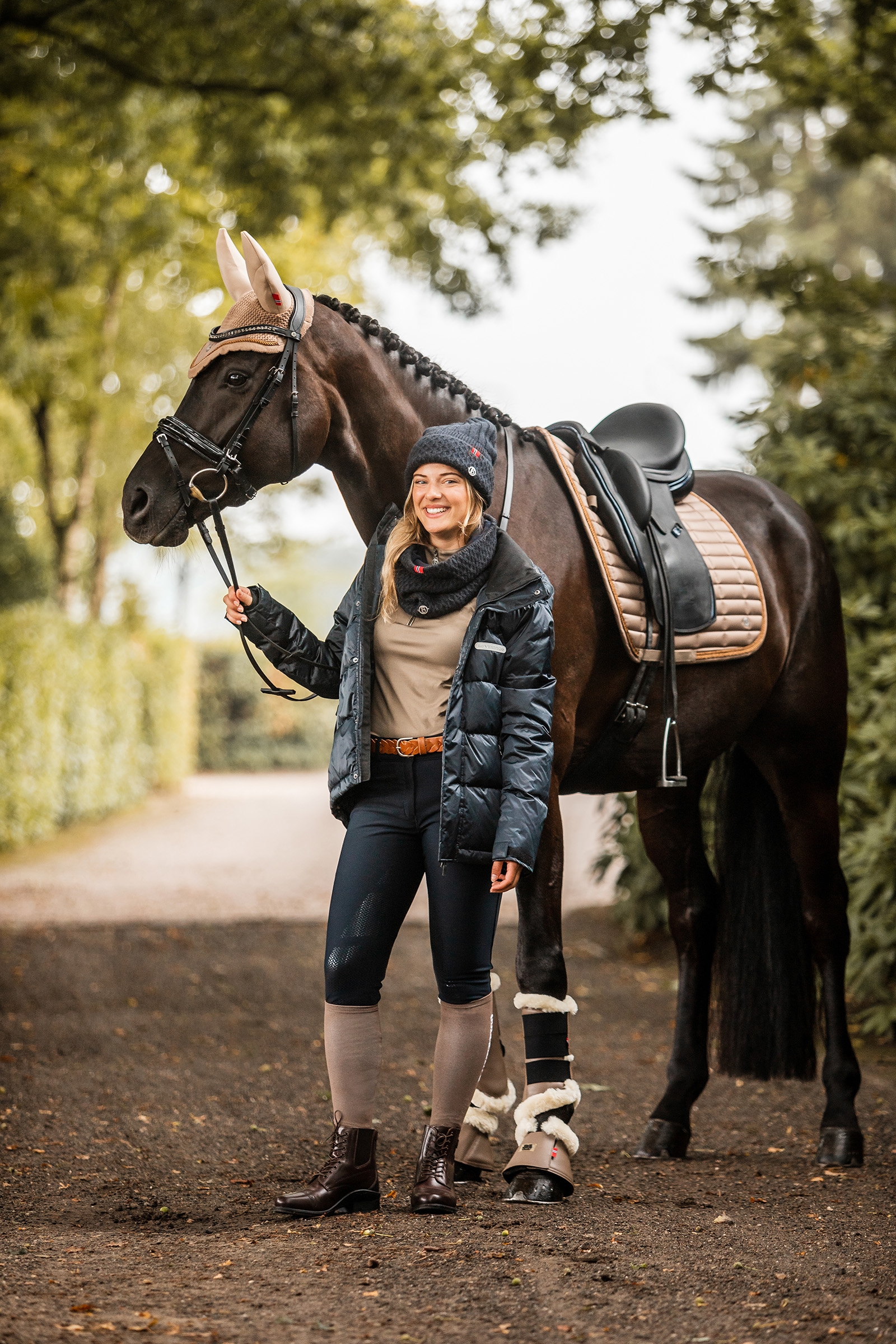 B Vertigo Quinn dressyrschabrak