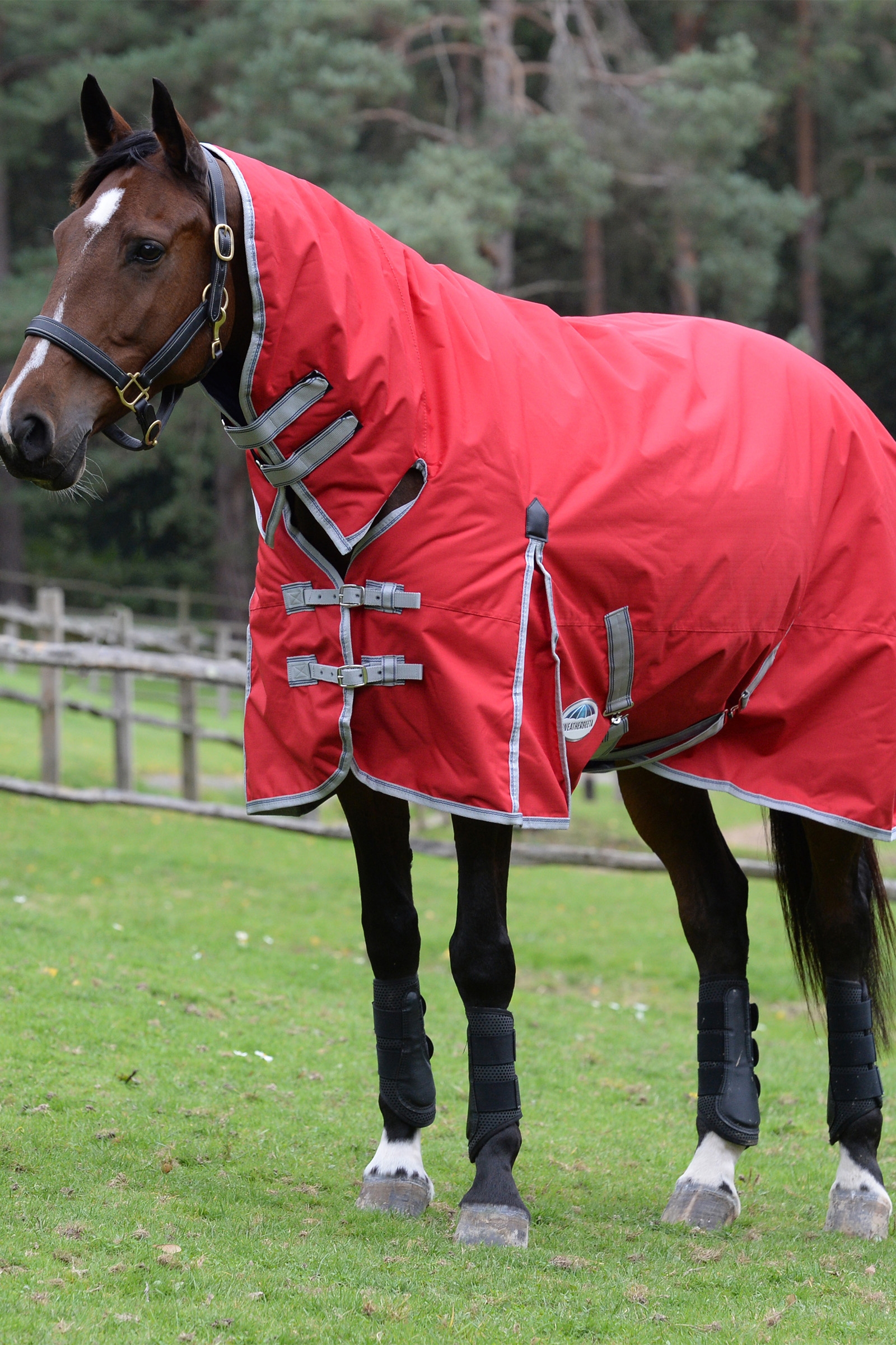 Weatherbeeta Comfitec Classic Hästtäcken med integrerat hals, 50g