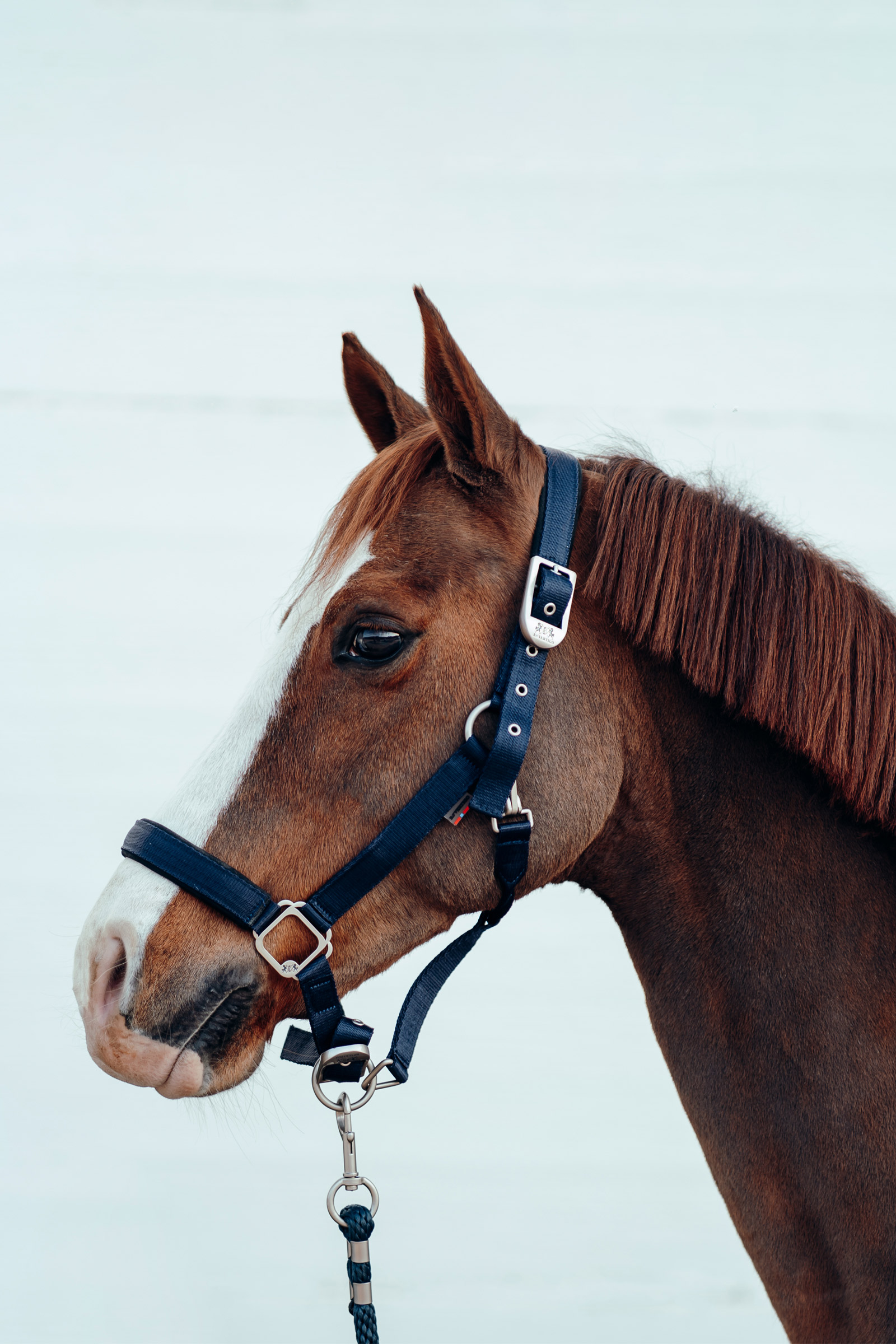 B Vertigo Hardwick Grimma