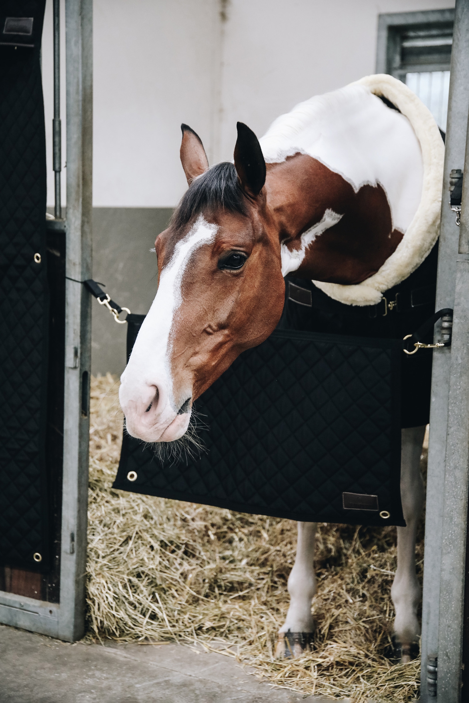 Kentucky Horsewear stallgrind