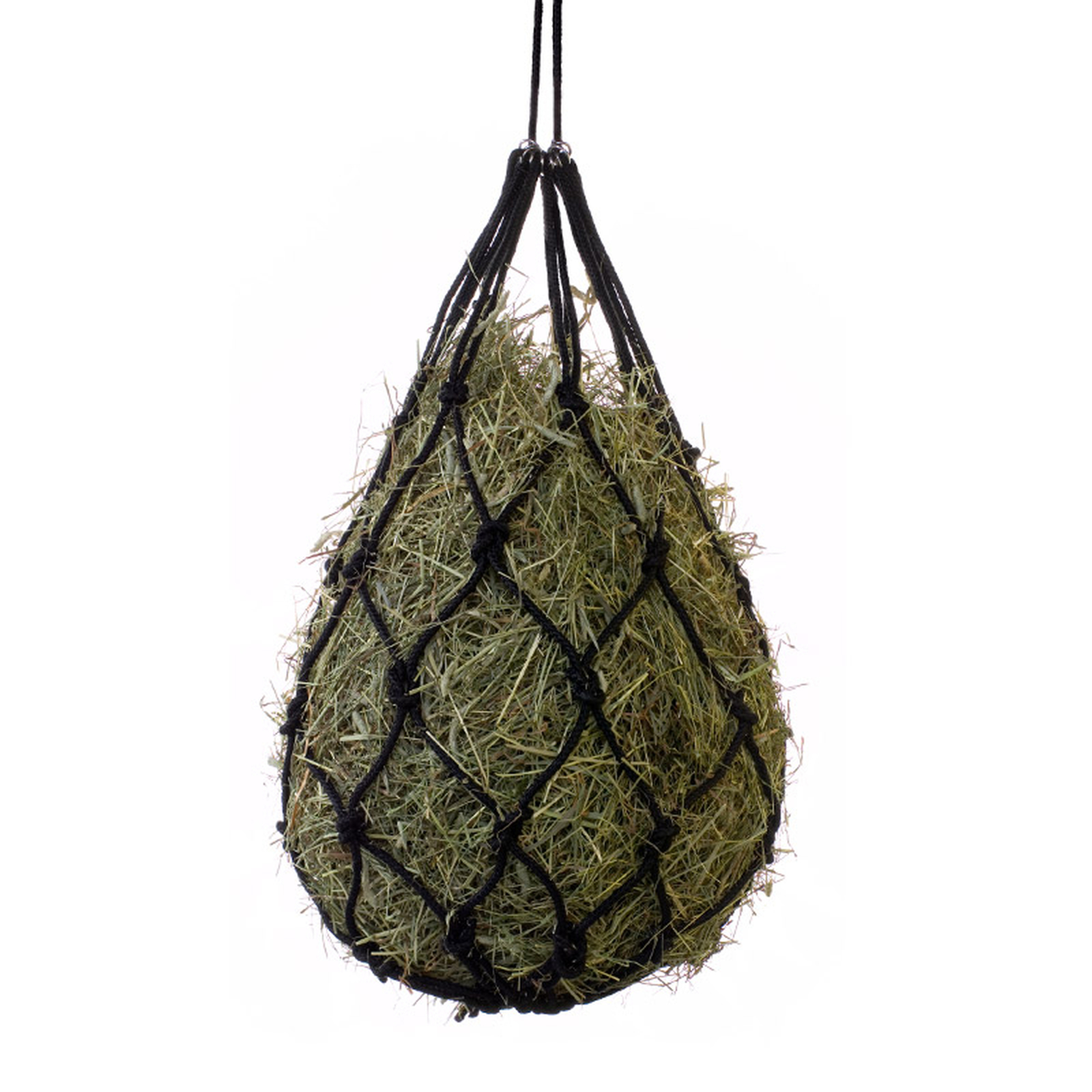 Horze h&ouml;n&auml;t