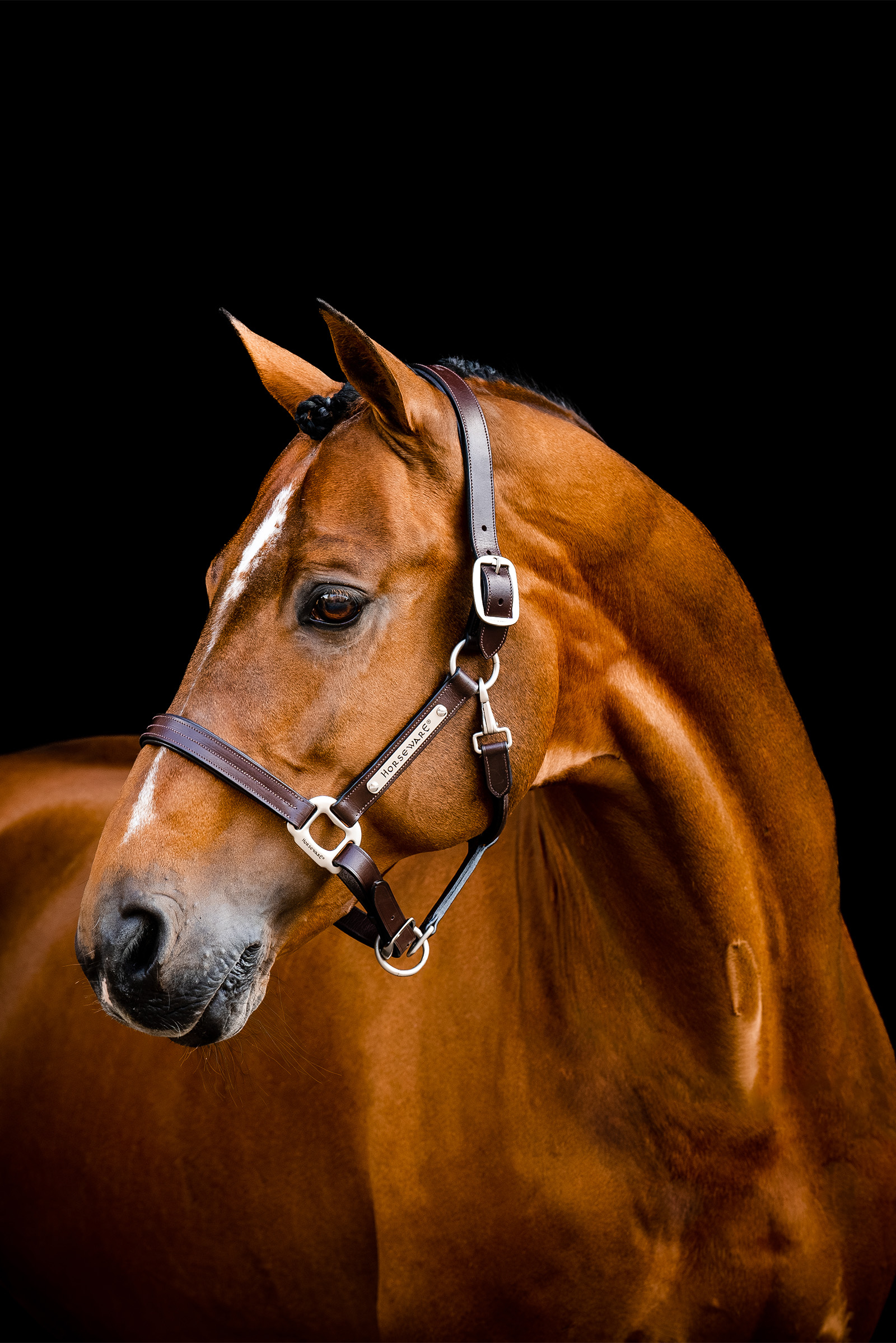 Brown Horseware Signature läderhalare