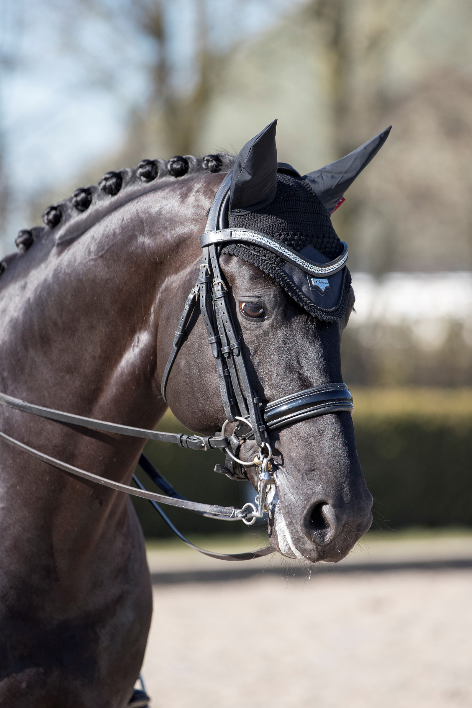 LeMieux Loire flughuva