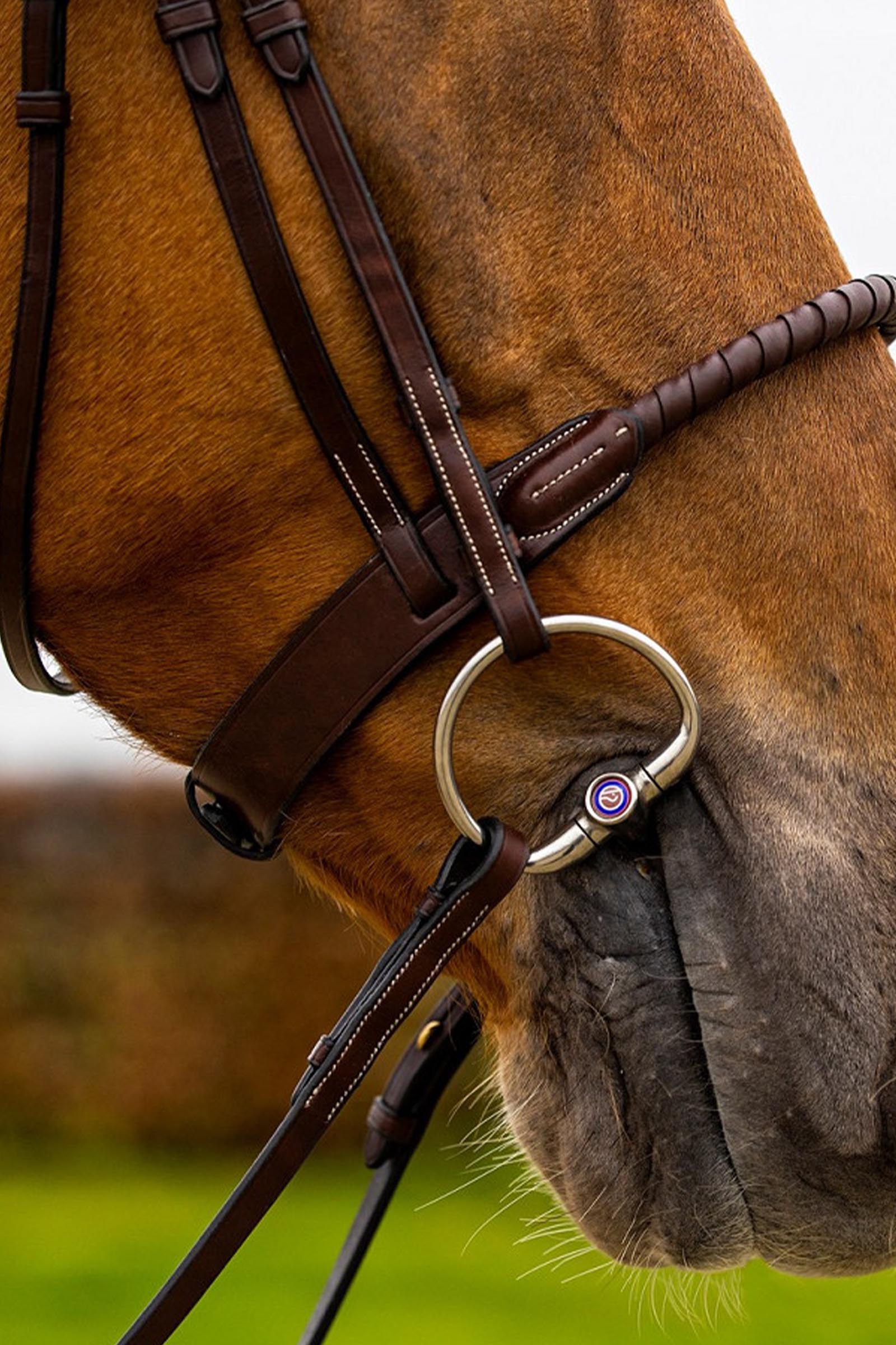 Trust Equestrian Dublin Rep N&auml;sbygel med Bridle