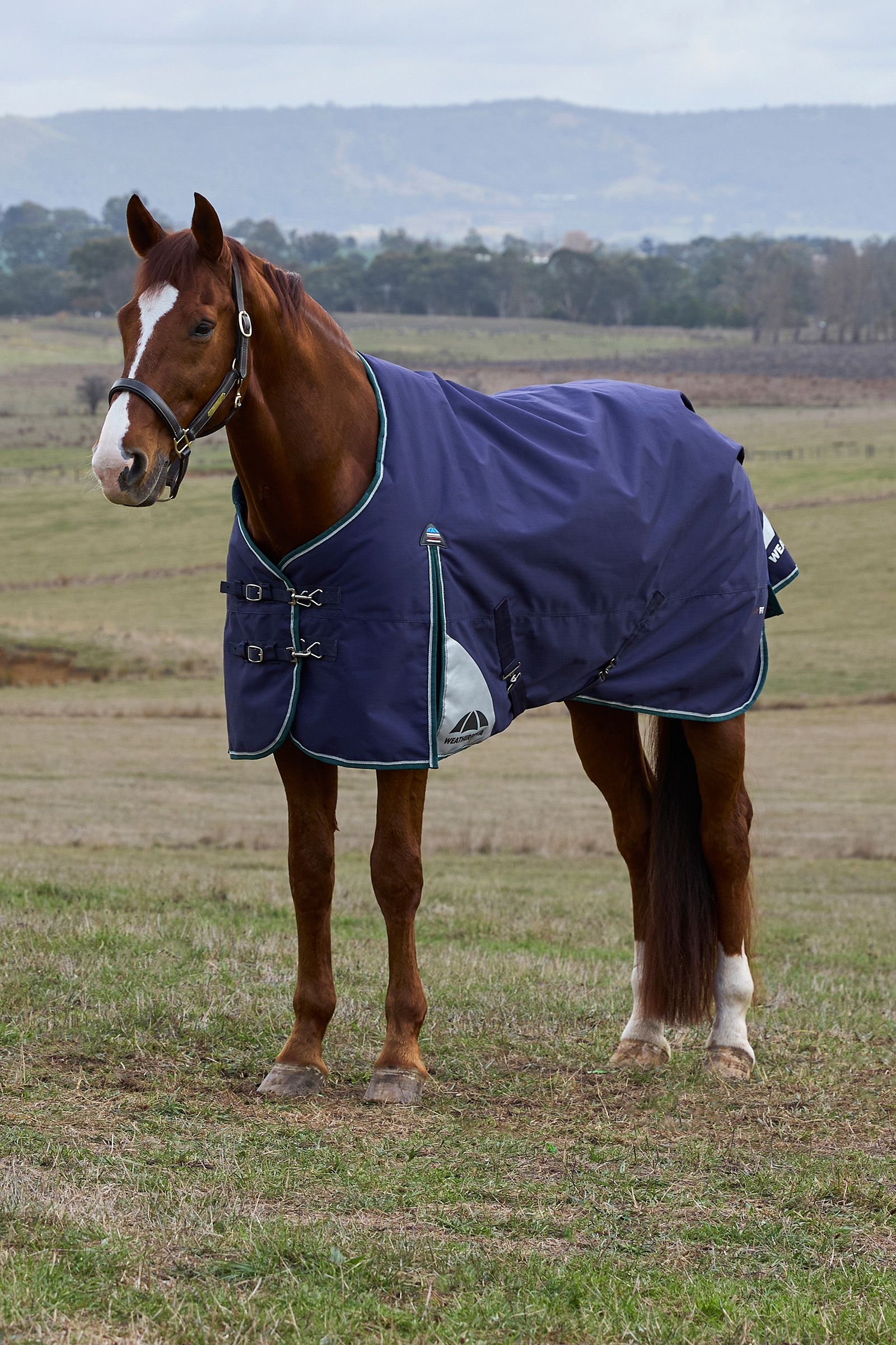 Navy/Forest Green Weatherbeeta ComFiTecPlus Dynamic Turnout Detach-A-Neck 100G