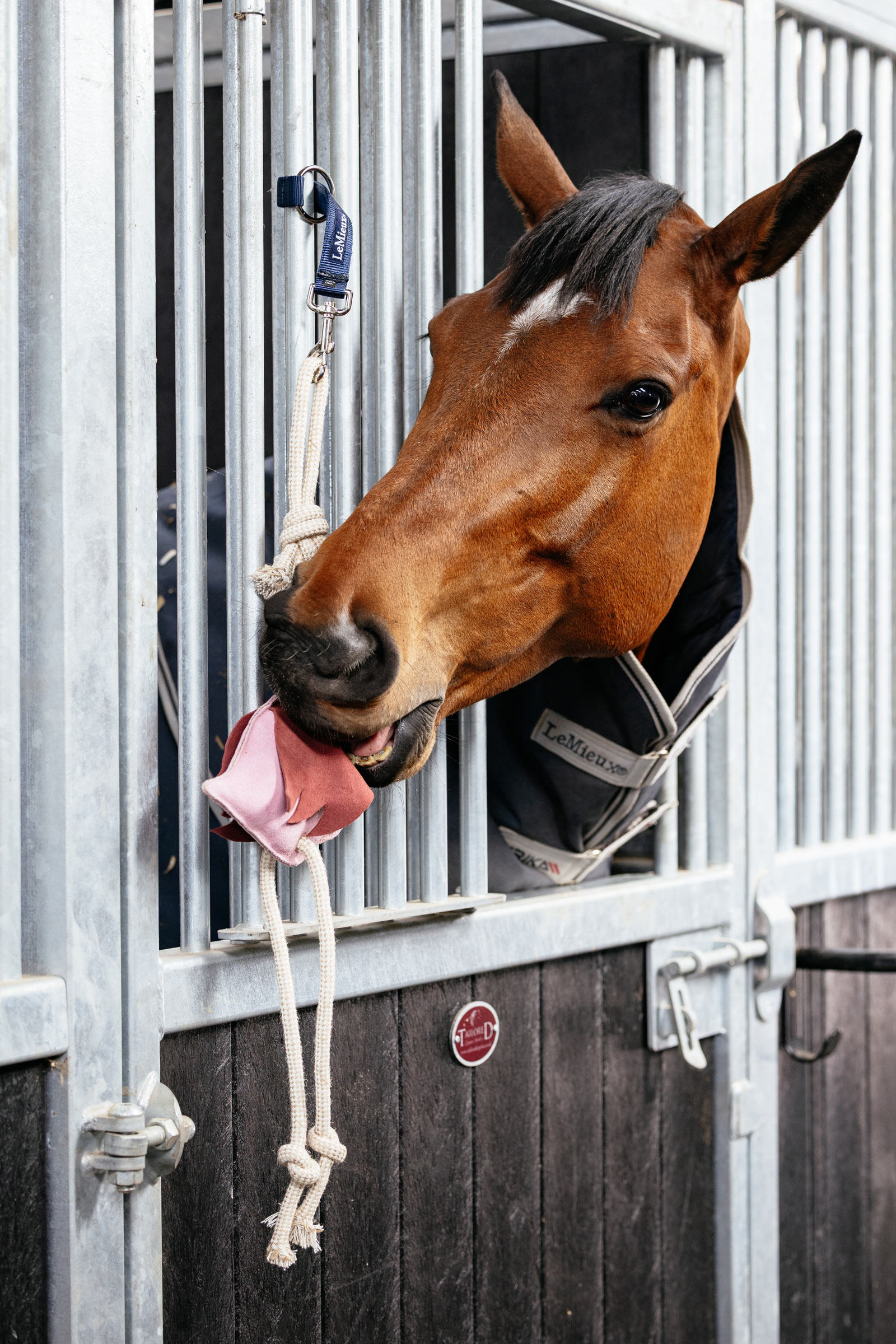 LeMieux hästleksak flamingo