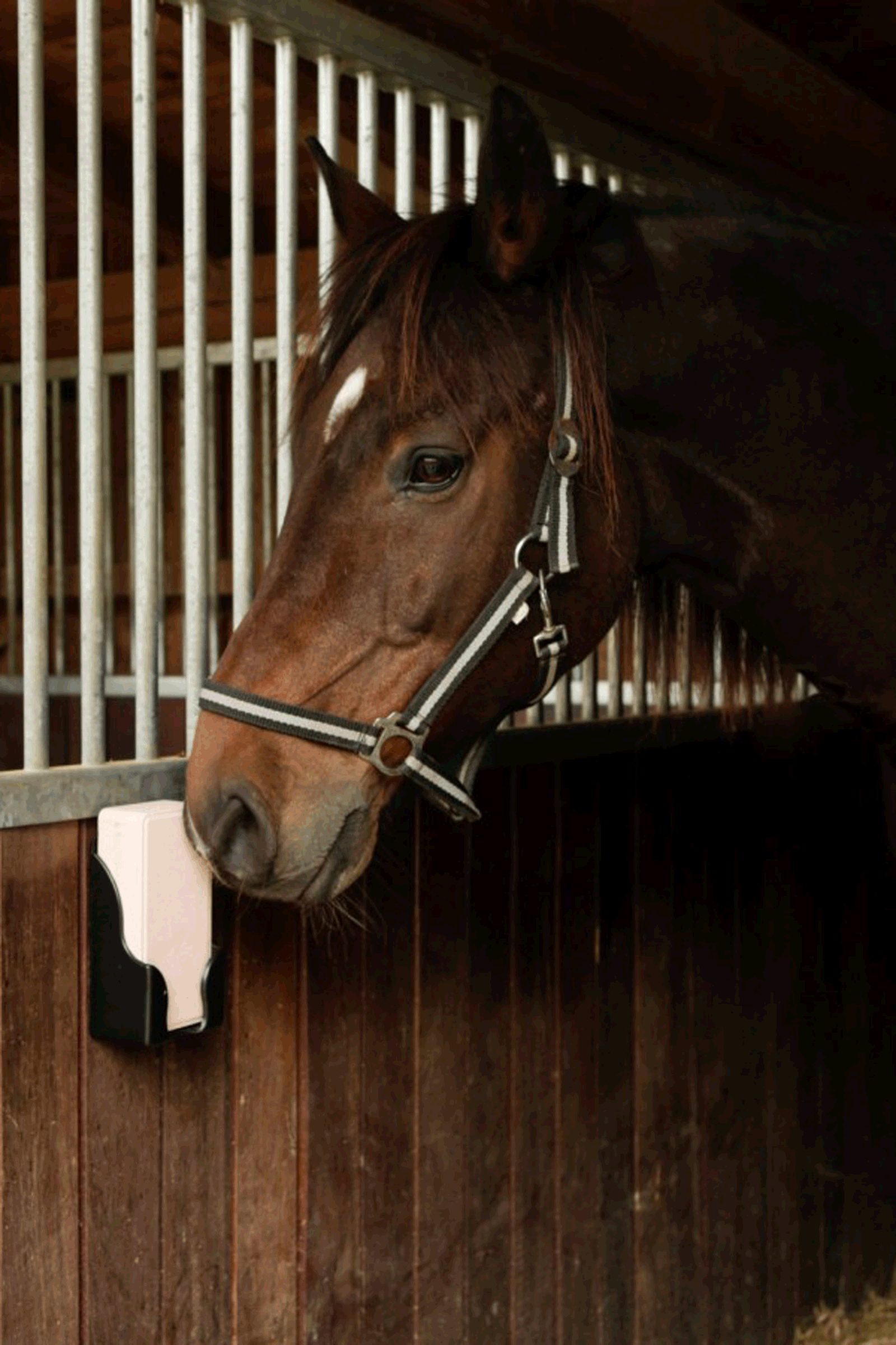 Kerbl hållare för rektangulära slickstenar