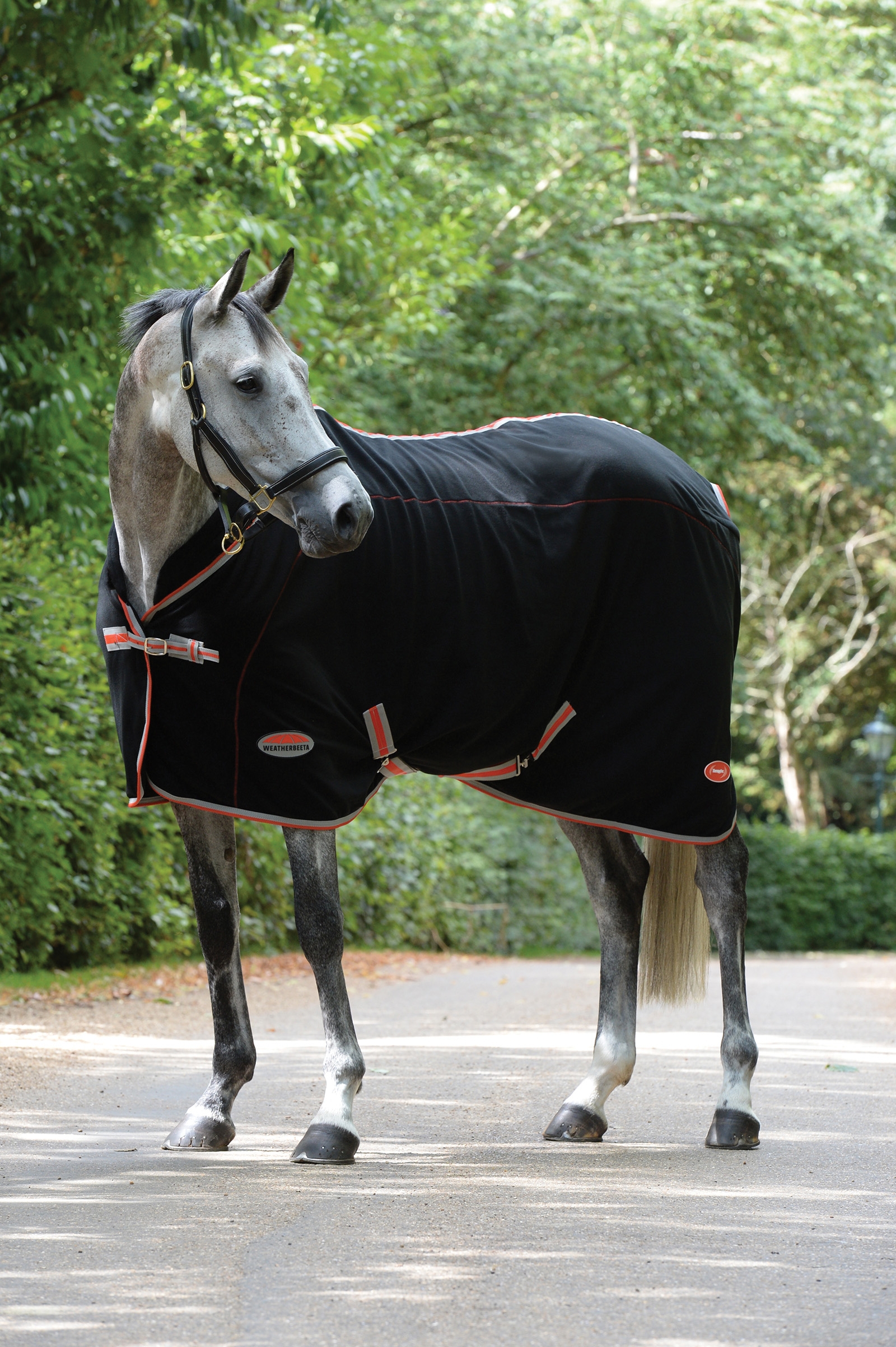 Weatherbeeta Therapy-Tec standardhals