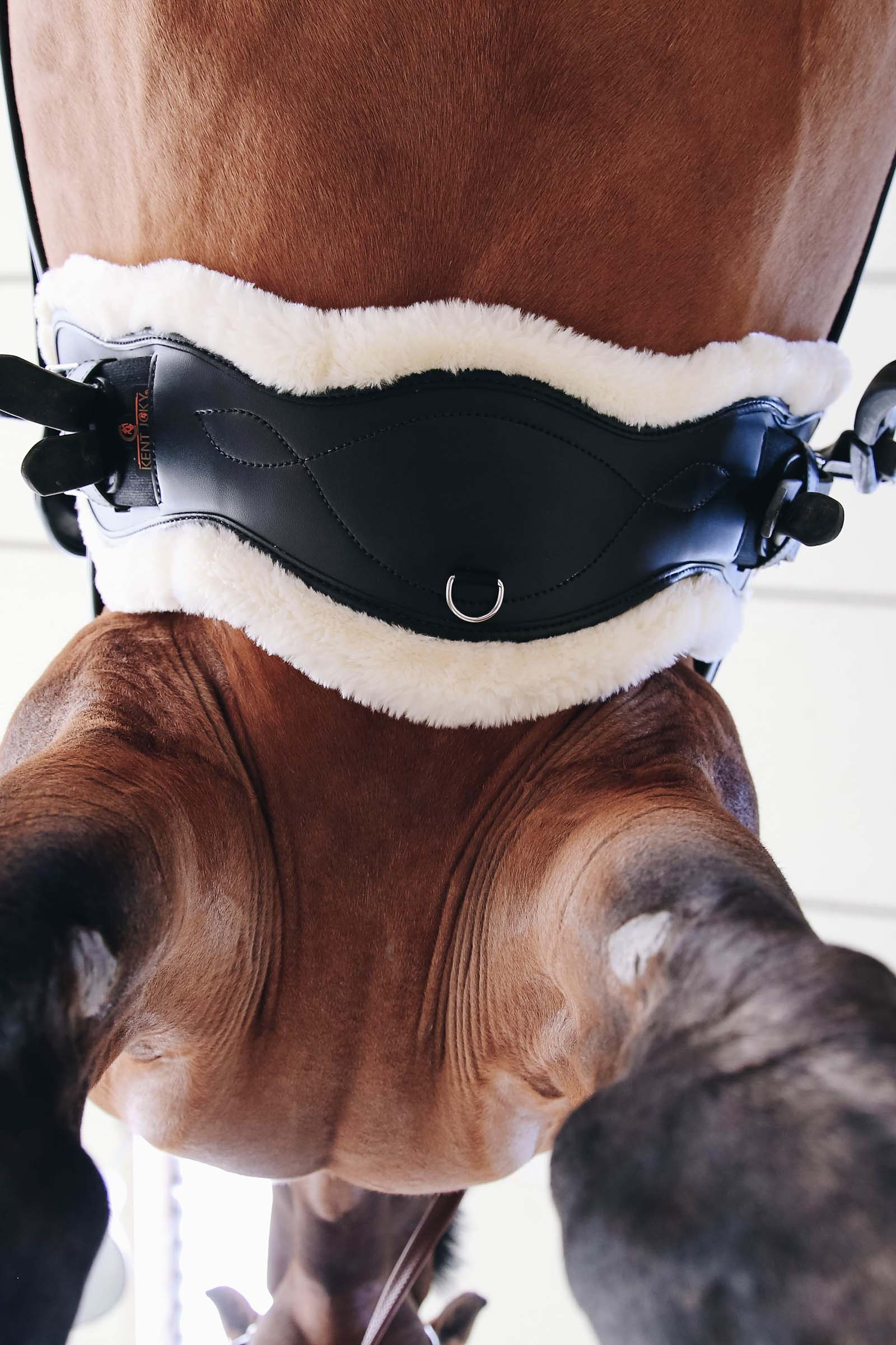 Kentucky Horsewear Anatomisk kort sadelgjordsskydd i fårskinn