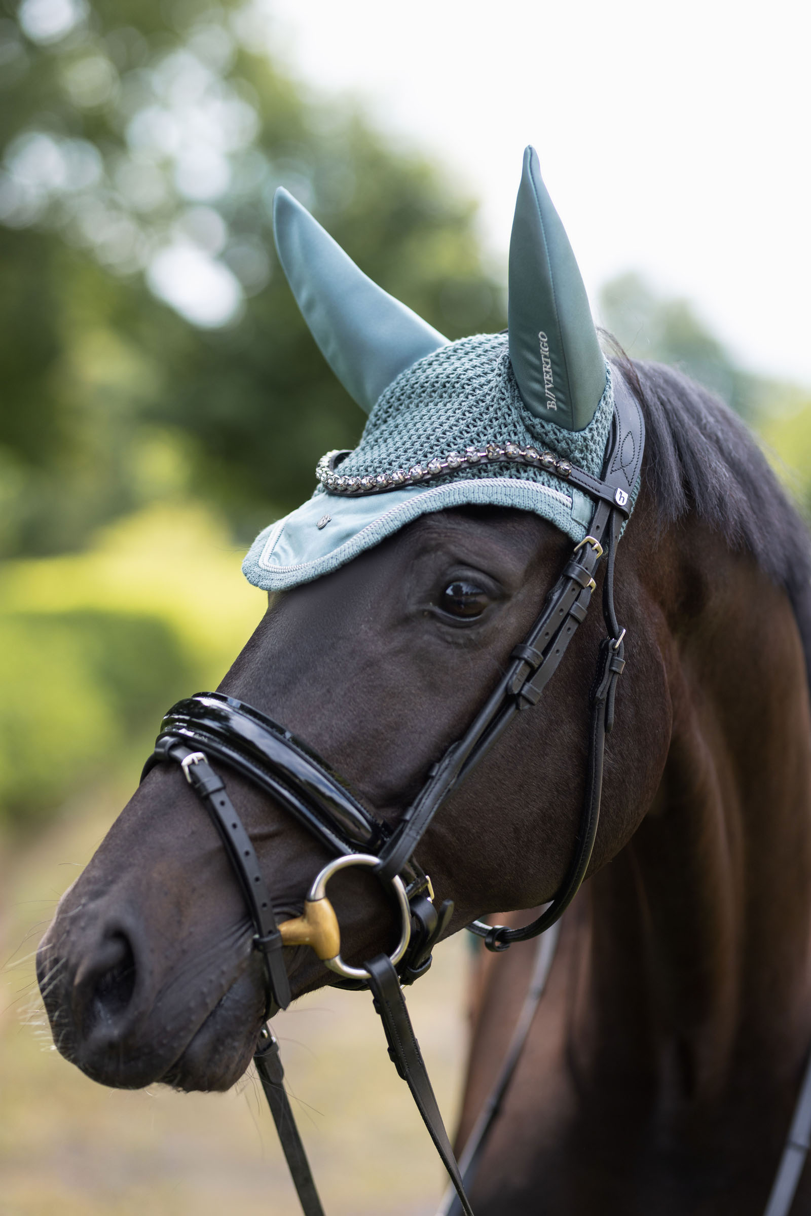 B Vertigo Pure Engineering ridhuva