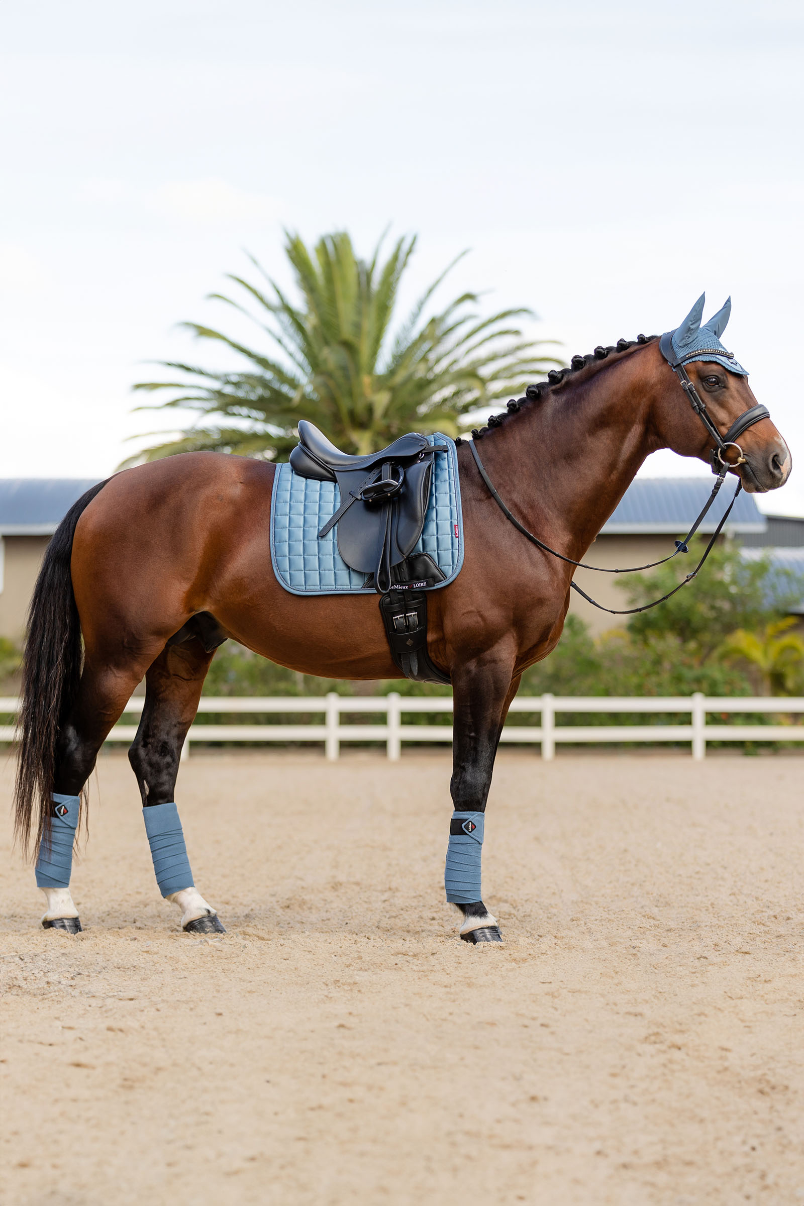 LeMieux Loire Memory Dressyrschabrak