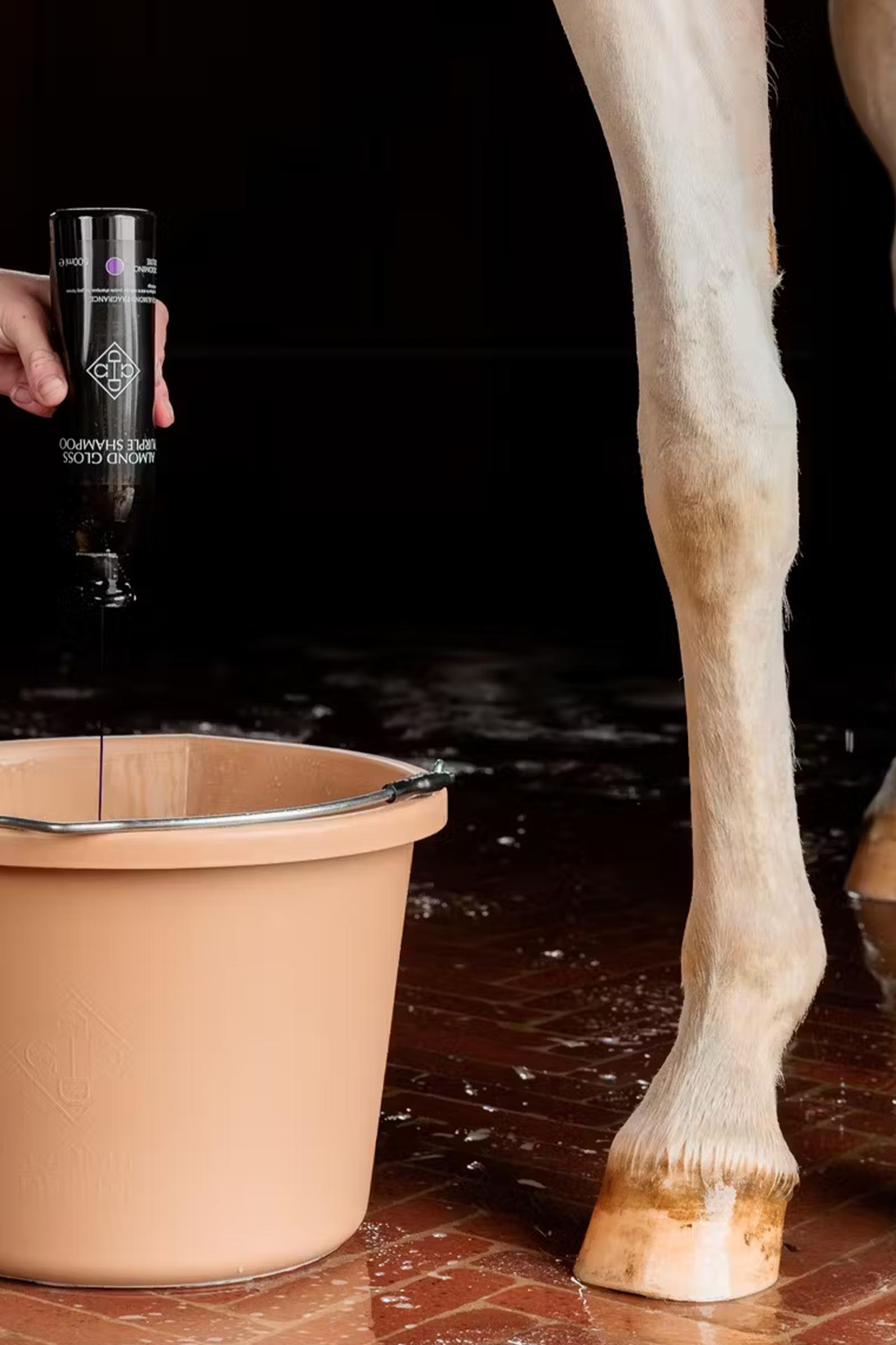 Grooming Deluxe Mandel gloss lila schampo, 500 ml