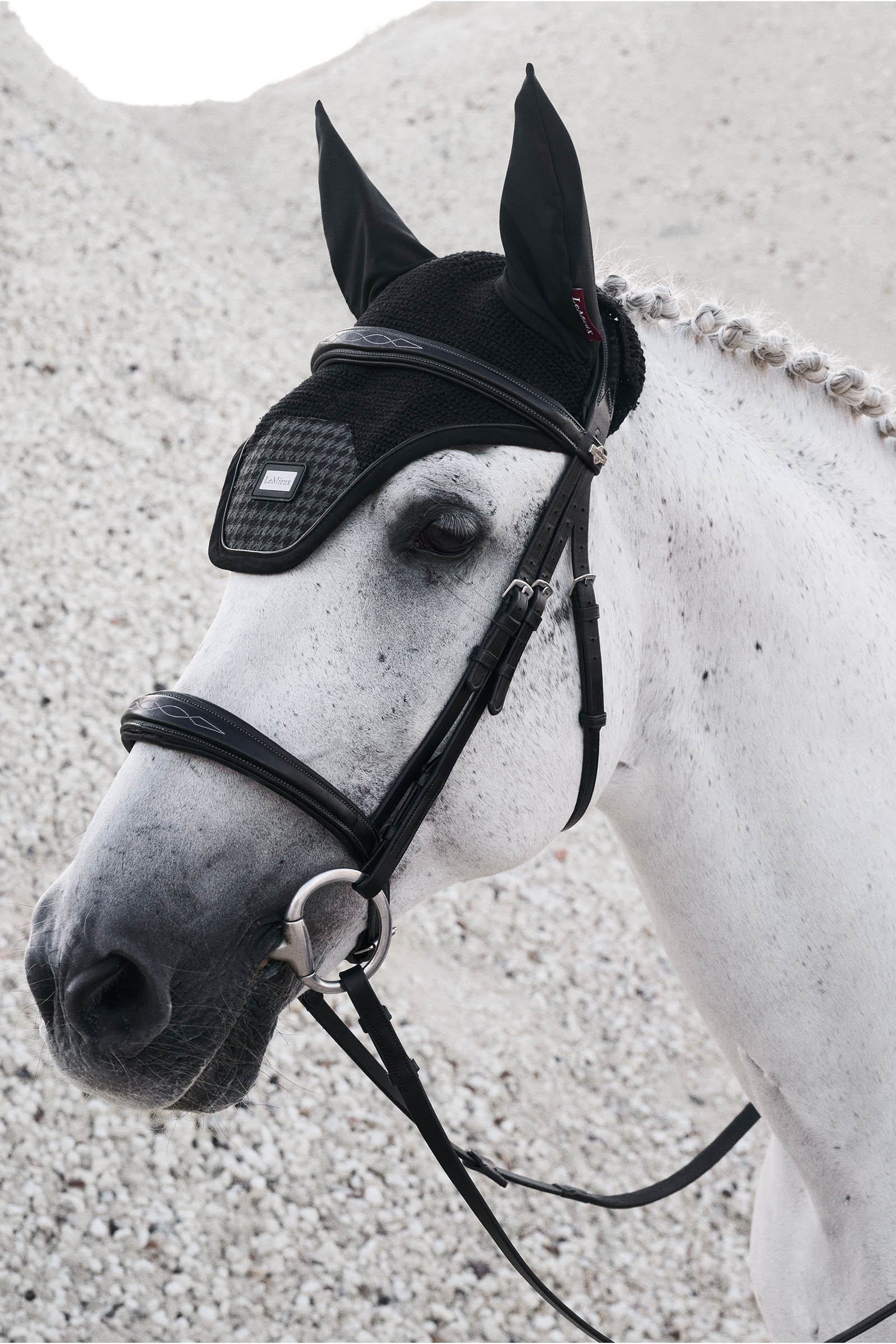 LeMieux Aspen flughuva