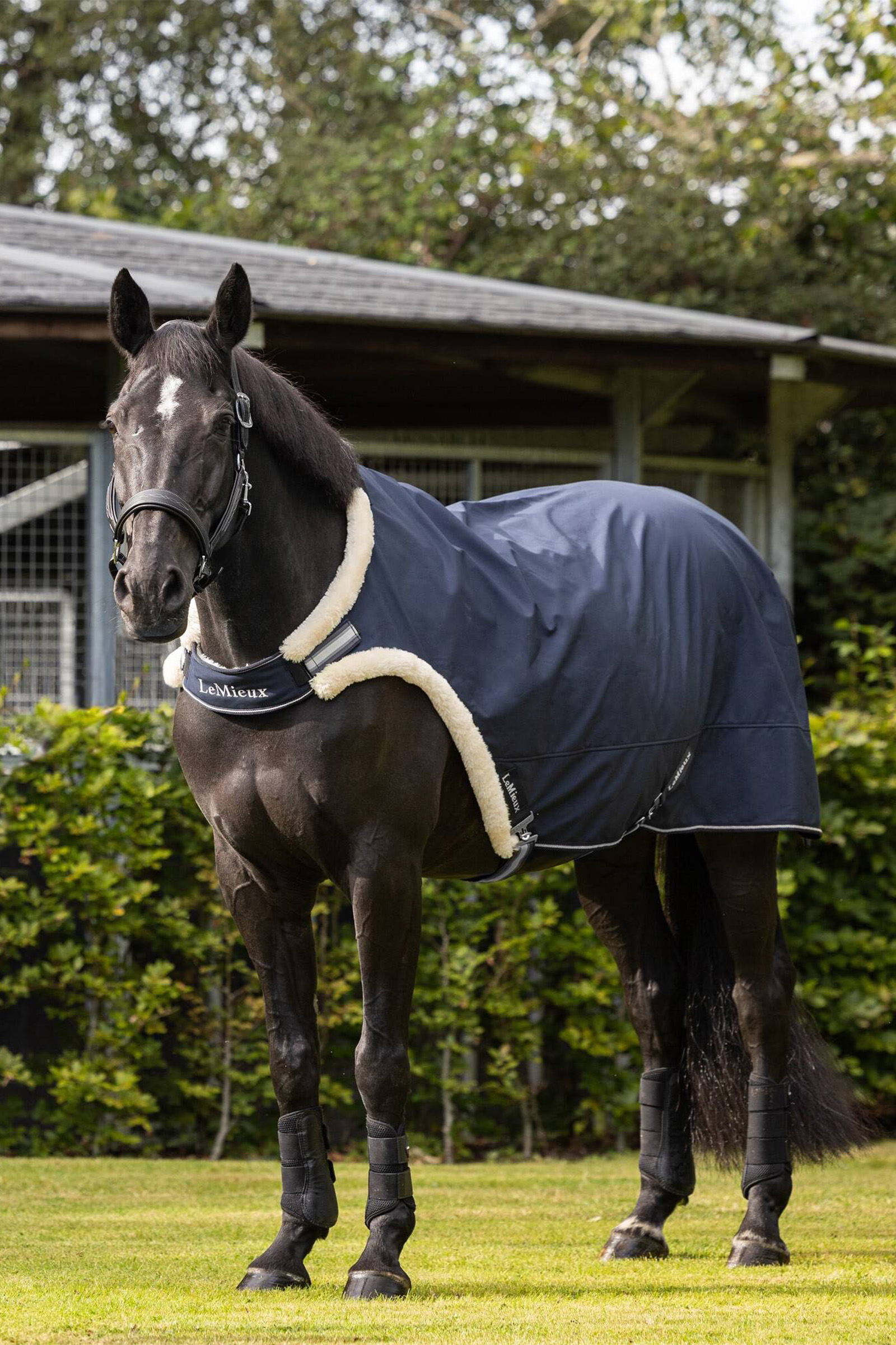 LeMieux Ledt&auml;cke