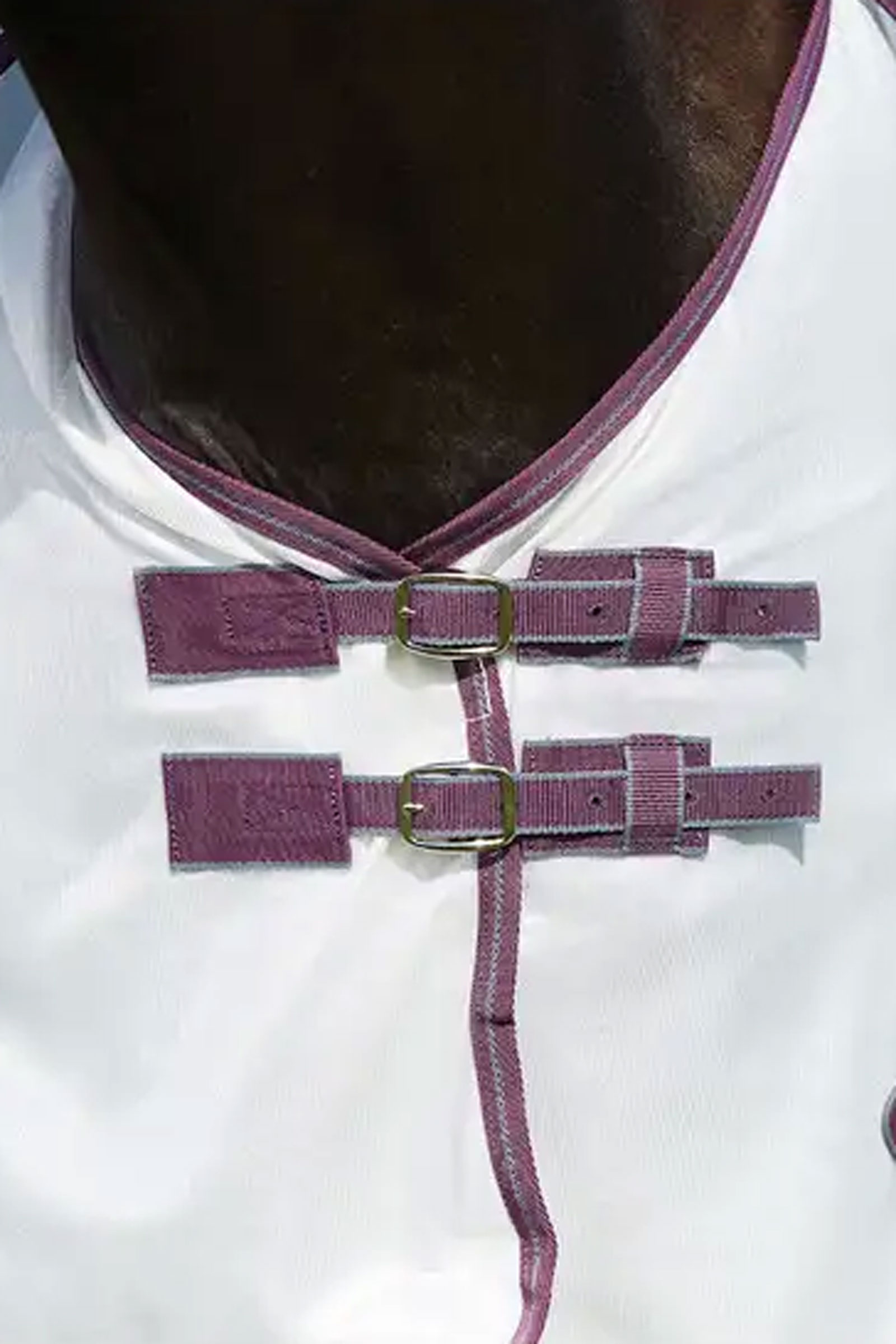 Weatherbeeta Comfitec Essential Mesh II Combo med hals