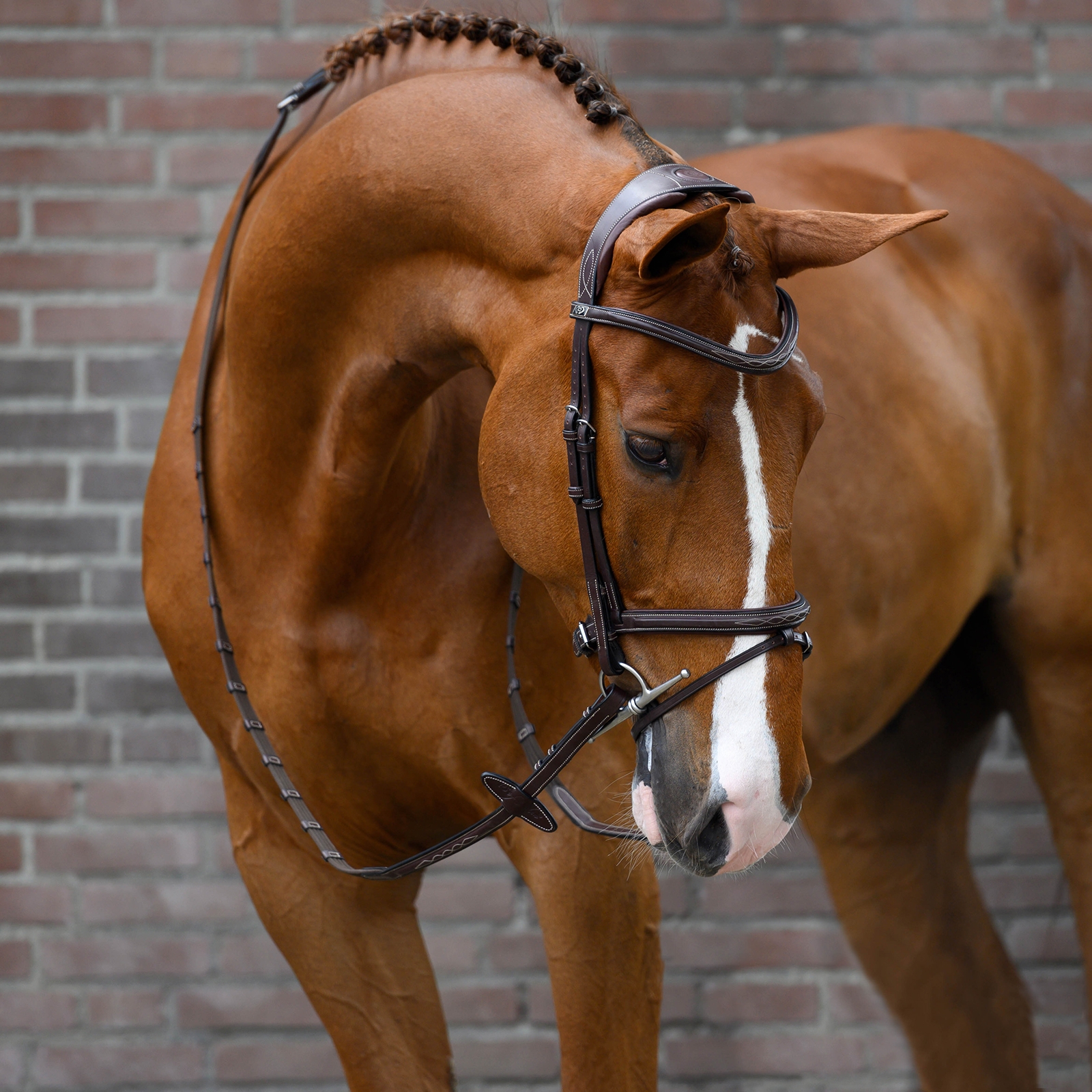 PS of Sweden Stockholm träns