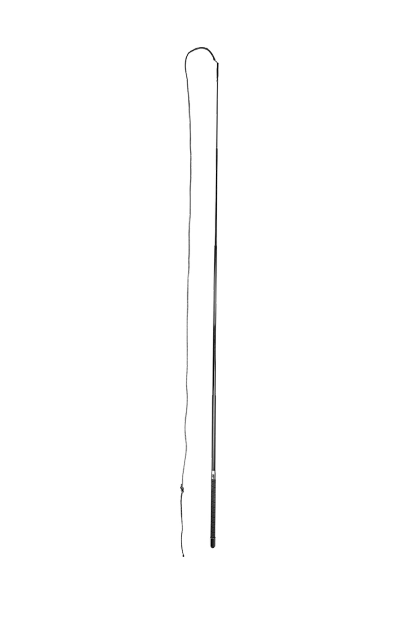 Longeringspisk Superlight från Waldhausen