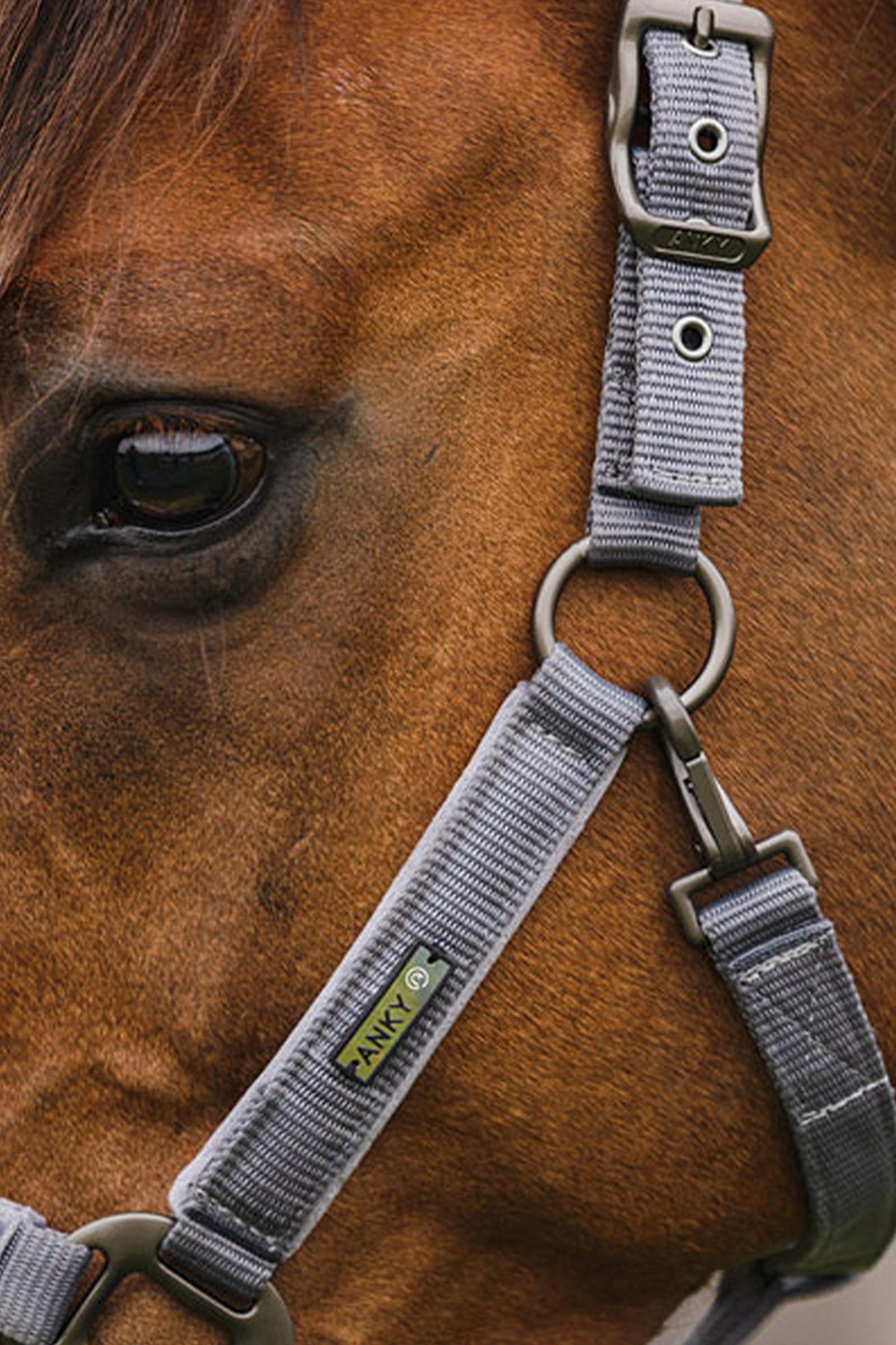 ANKY Stones Grimma och Grimskaft