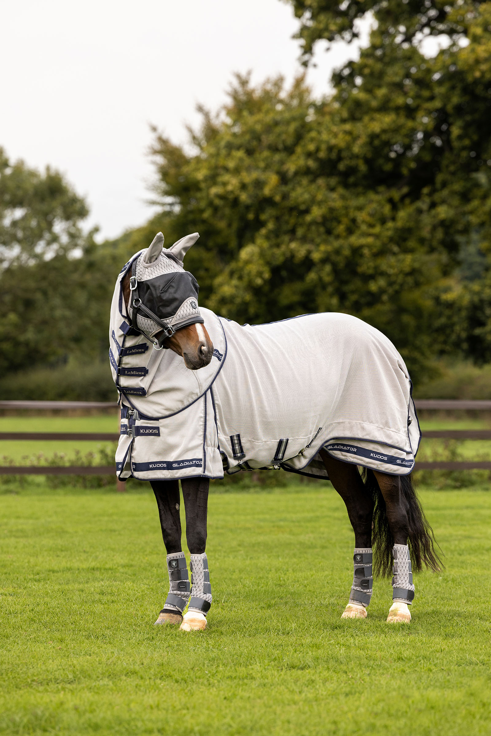 LeMieux Kudos Gladiator flugt&auml;cke