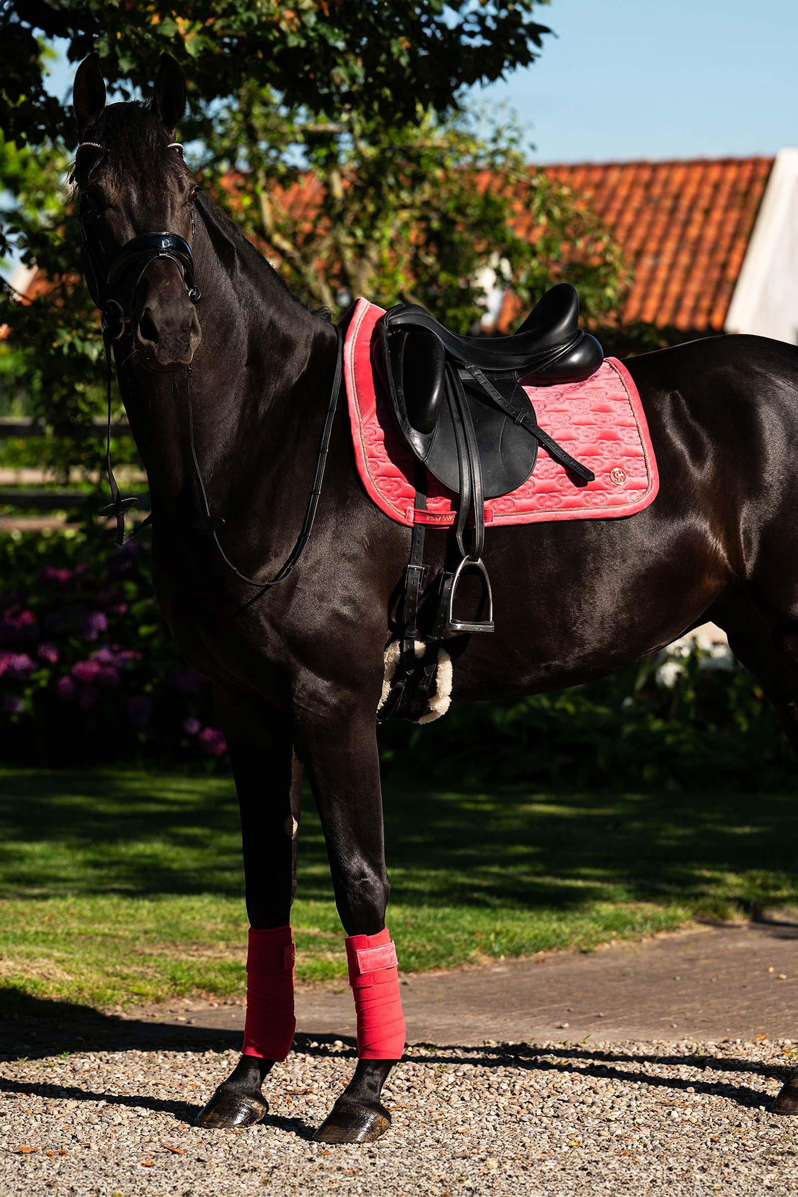 PS of Sweden schabrak Velvet Monogram dressyr