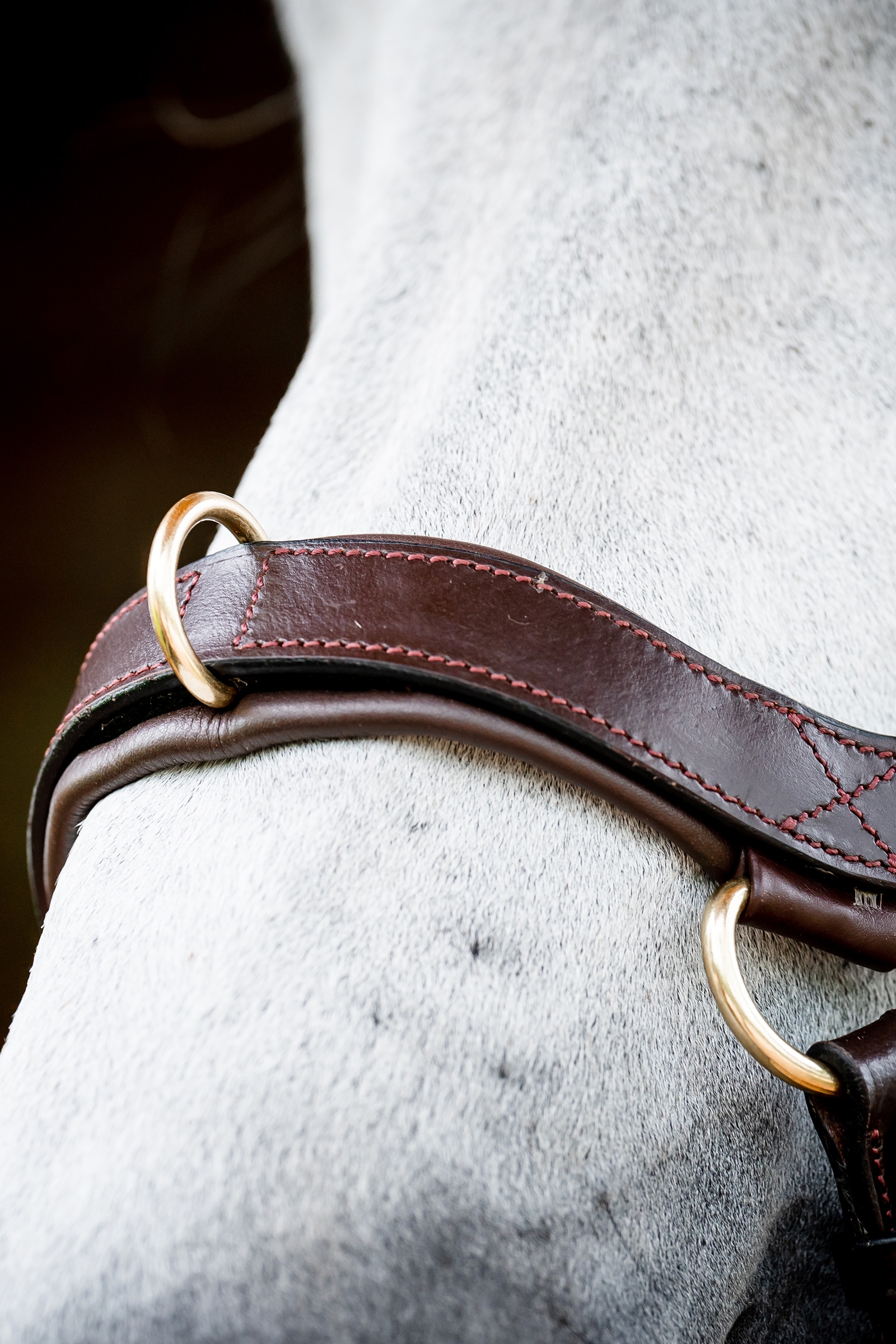 Horseware Micklem 2 Multi Träns