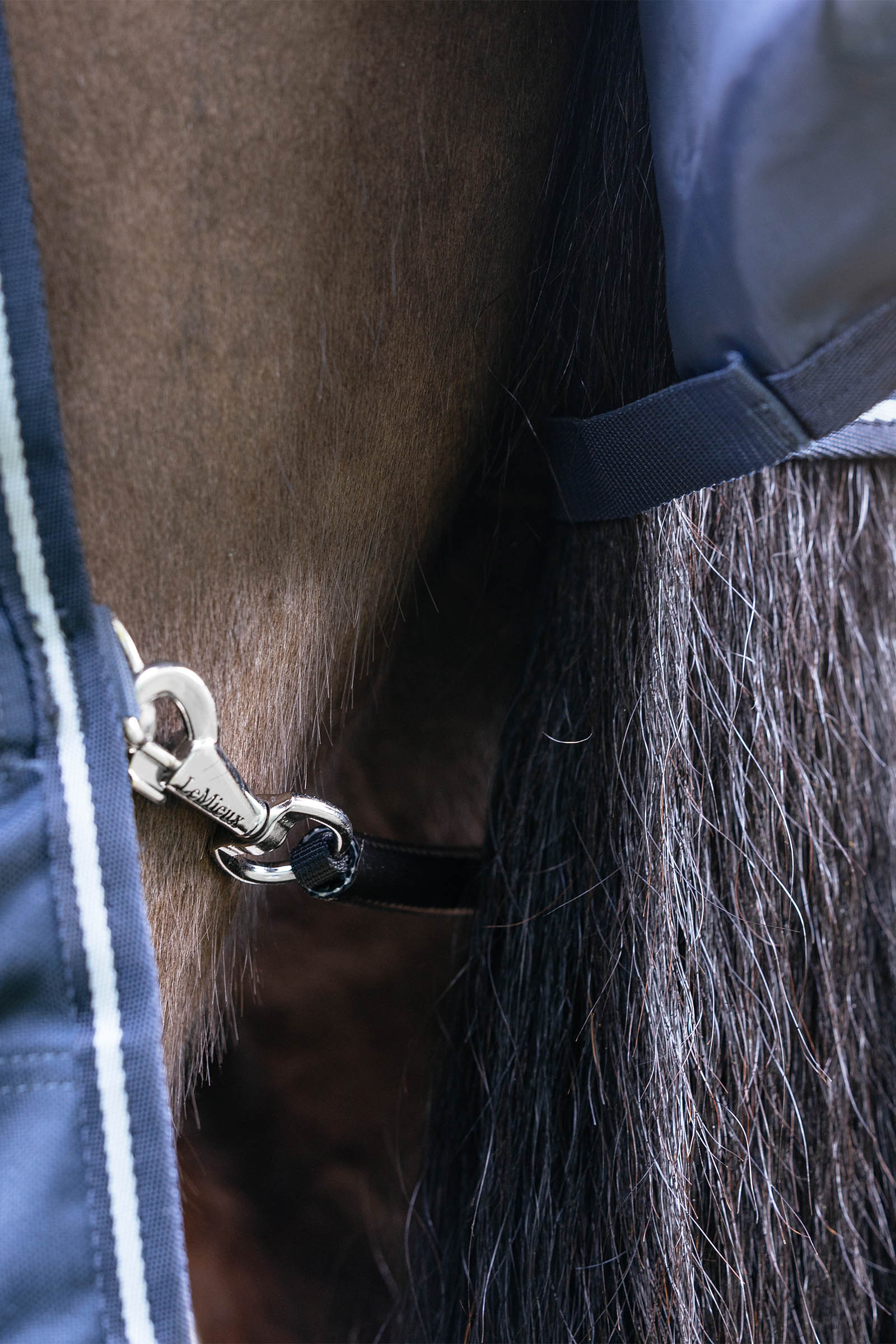 LeMieux Arika Storm-Tek utet&auml;cke med avtagbar hals, 100 g