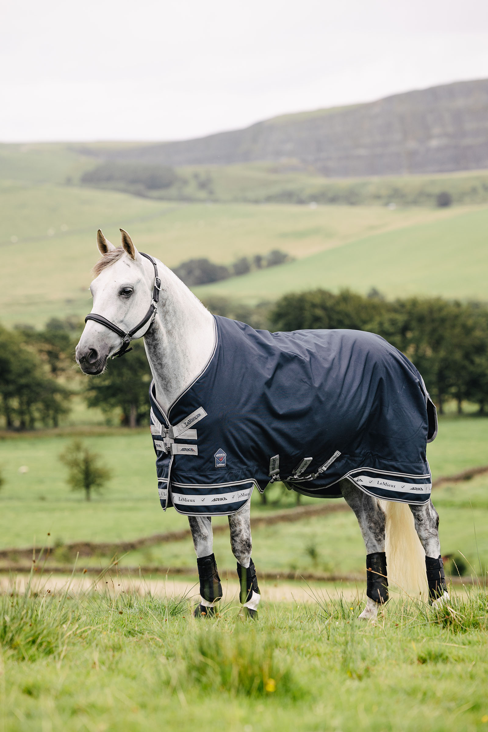 LeMieux Arika Storm-Tek täcke 50g