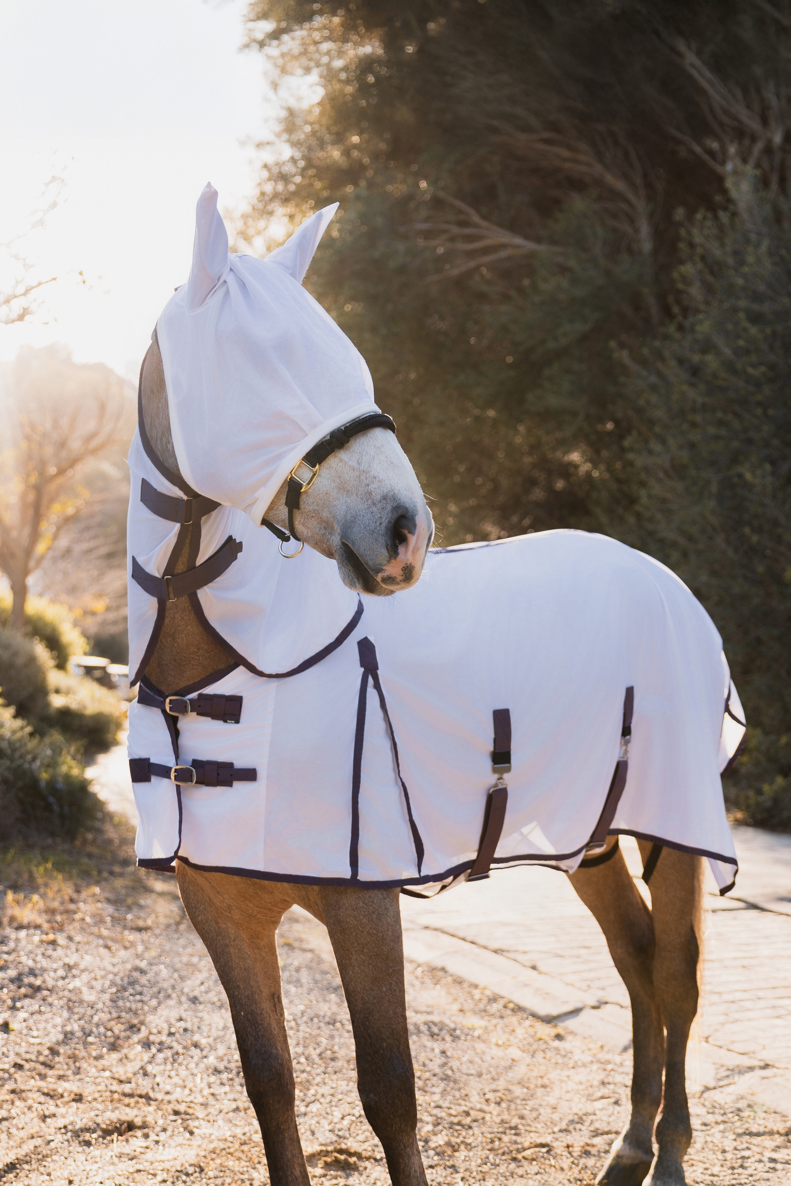 Horze La Paz flugskydds set med t&auml;cke, avtagbart halst&auml;cke och huva
