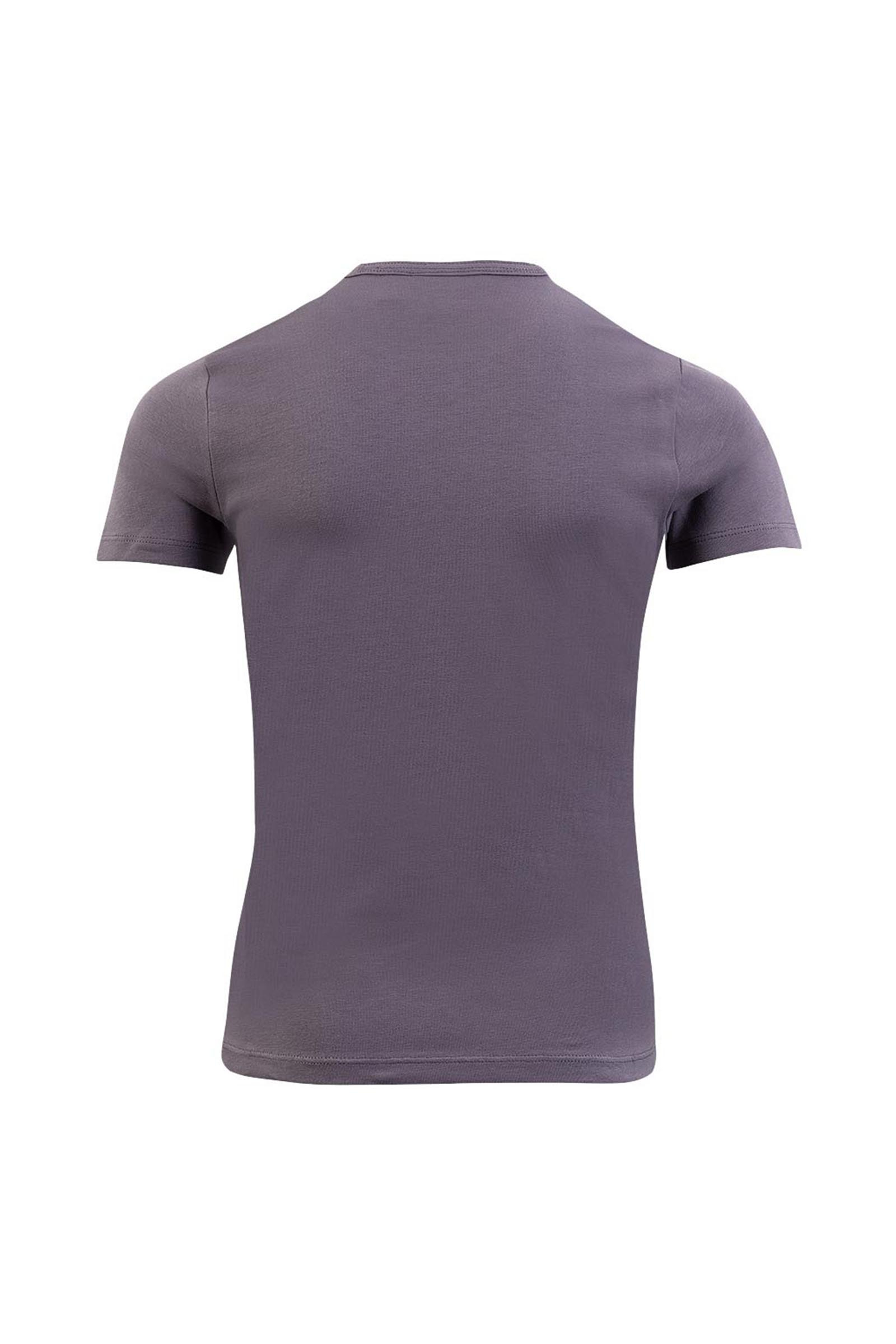 BR Mini Horse barn T shirt