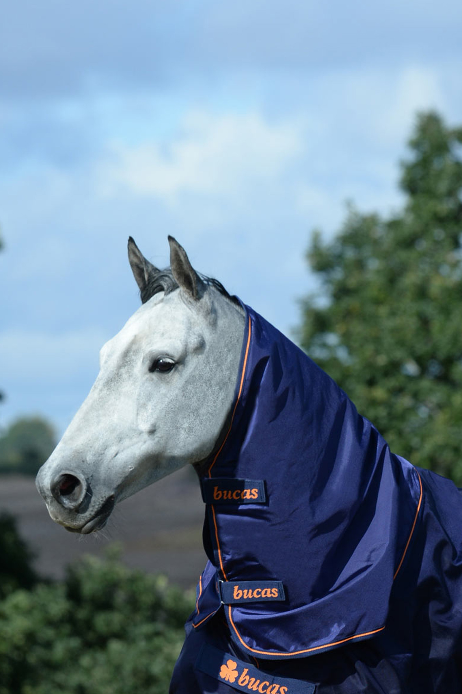 Bucas Therapy halstäcke