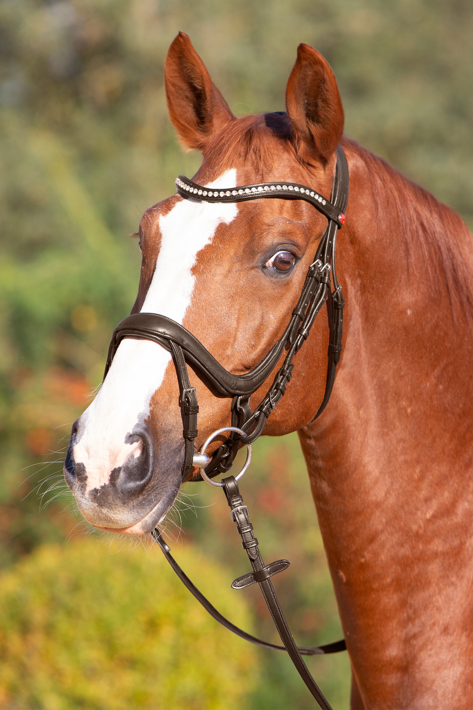 Kieffer Ultrasoft® Amy Bridle