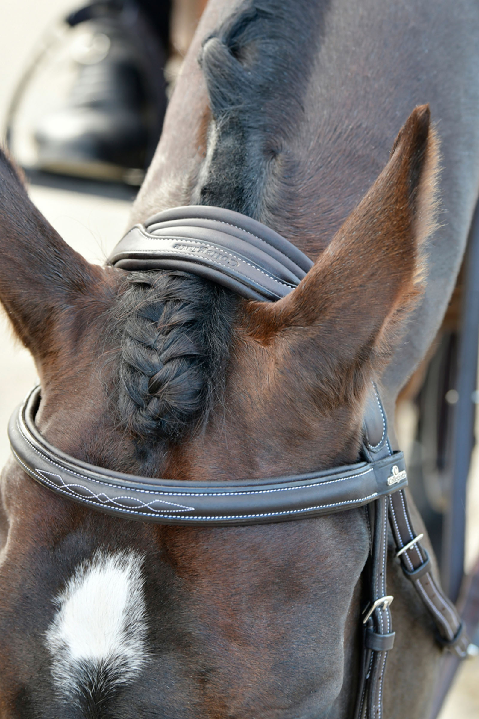 Collegiate Comfitec Opulux Fancy Stitch vadderat hannoveranskt tr&auml;ns