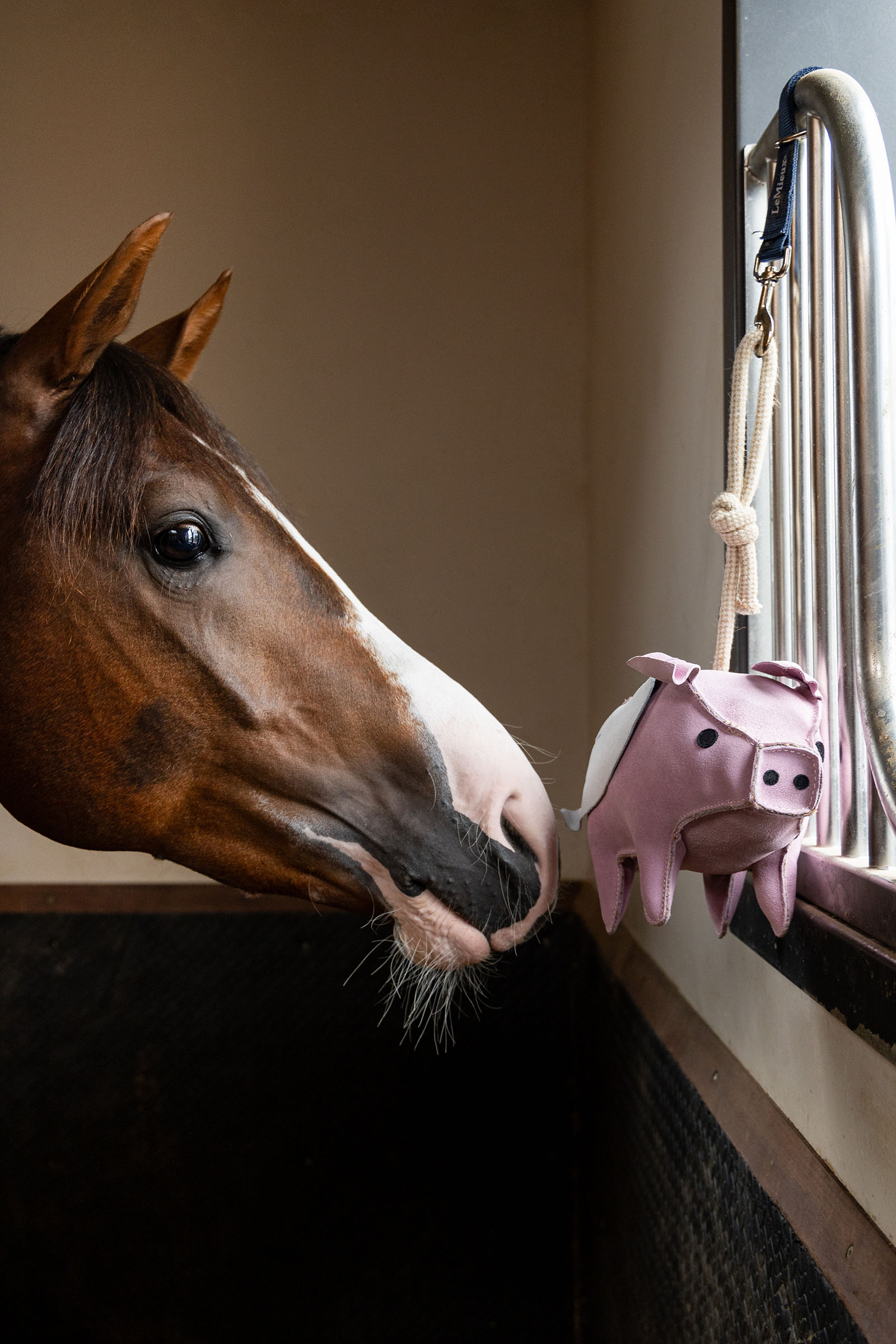 LeMieux h&auml;stleksak flygande gris