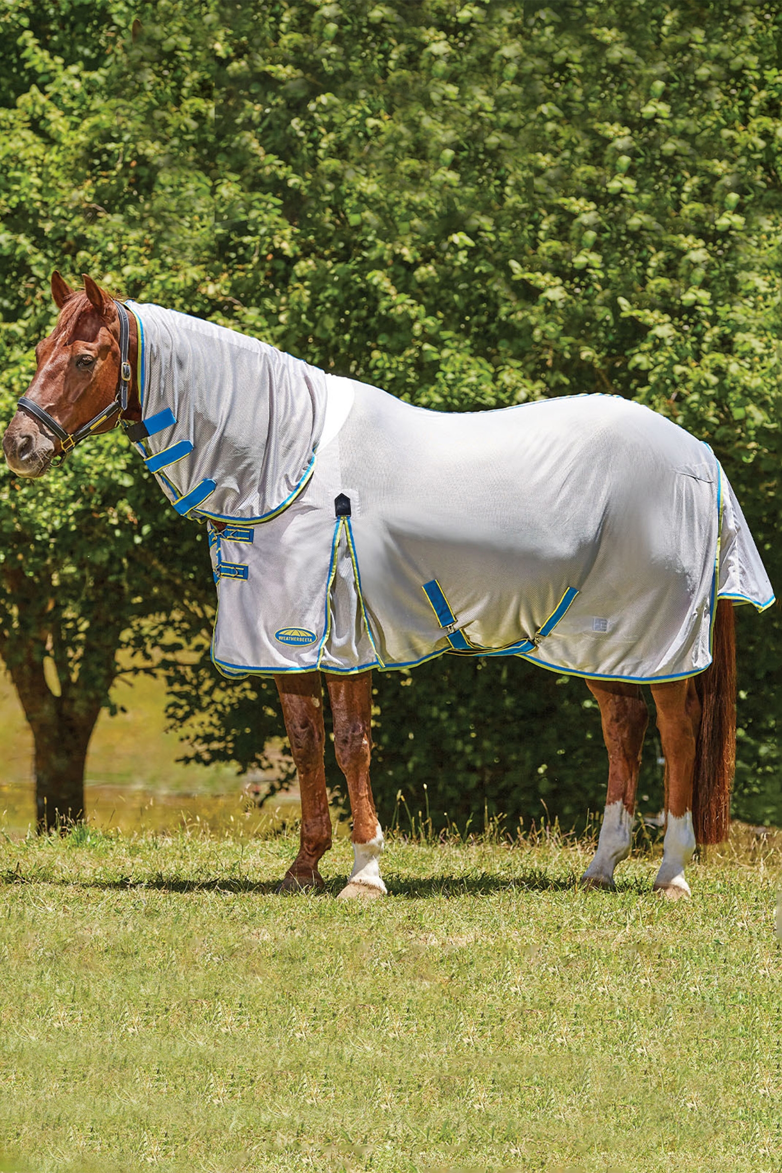 Weatherbeeta Comfitec Zephyr Plus Mesh Combo Flughatt