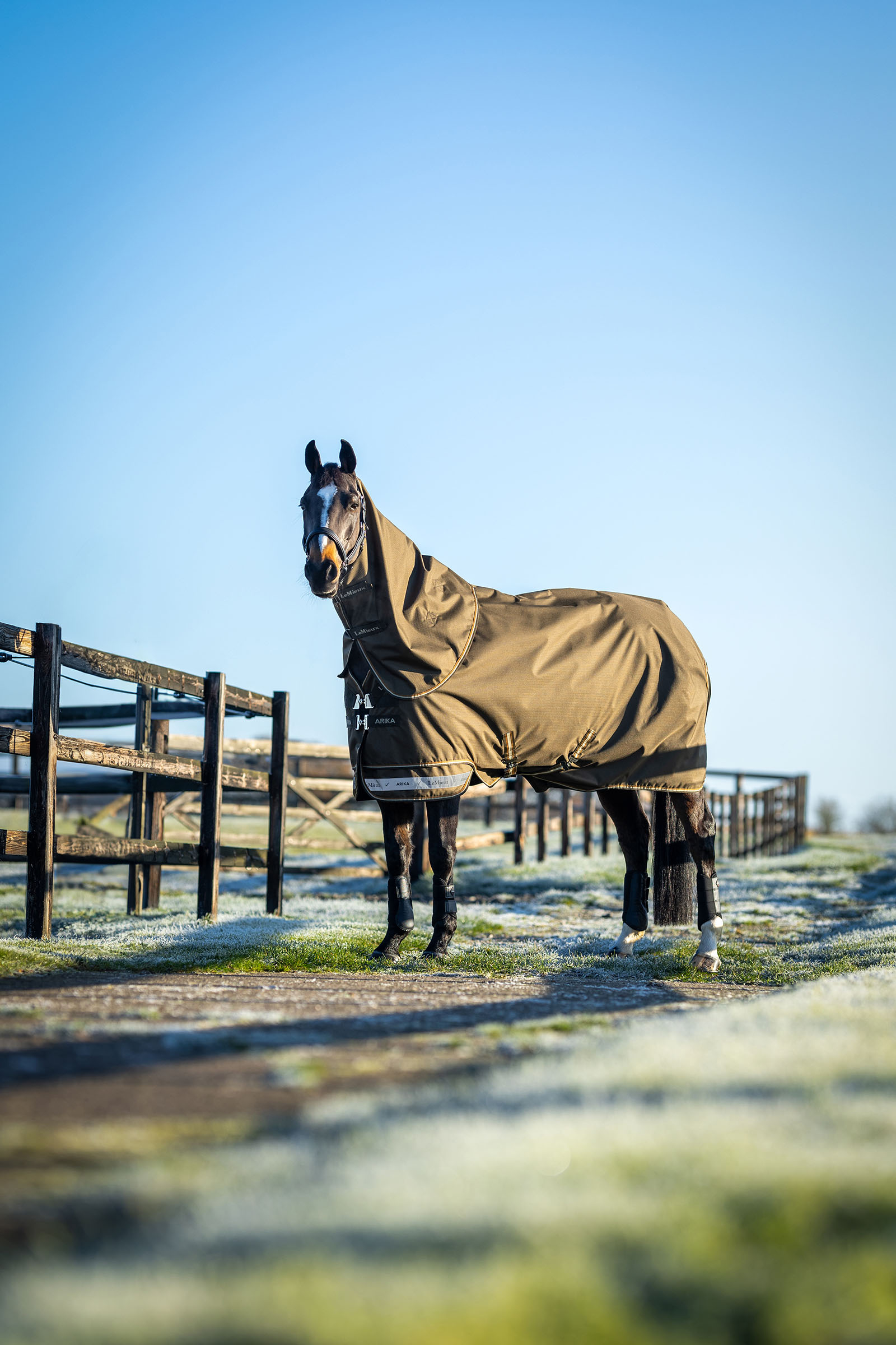 LeMieux Arika Ripstop Turnout Rug With Detachable Neck, 200 g